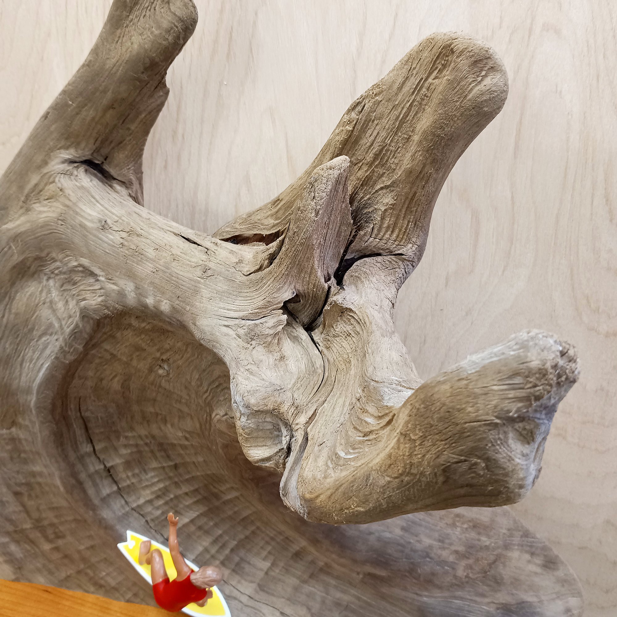 migliodesign-in-the-curl-driftwood-wall-shelf-sculpture-4.jpg