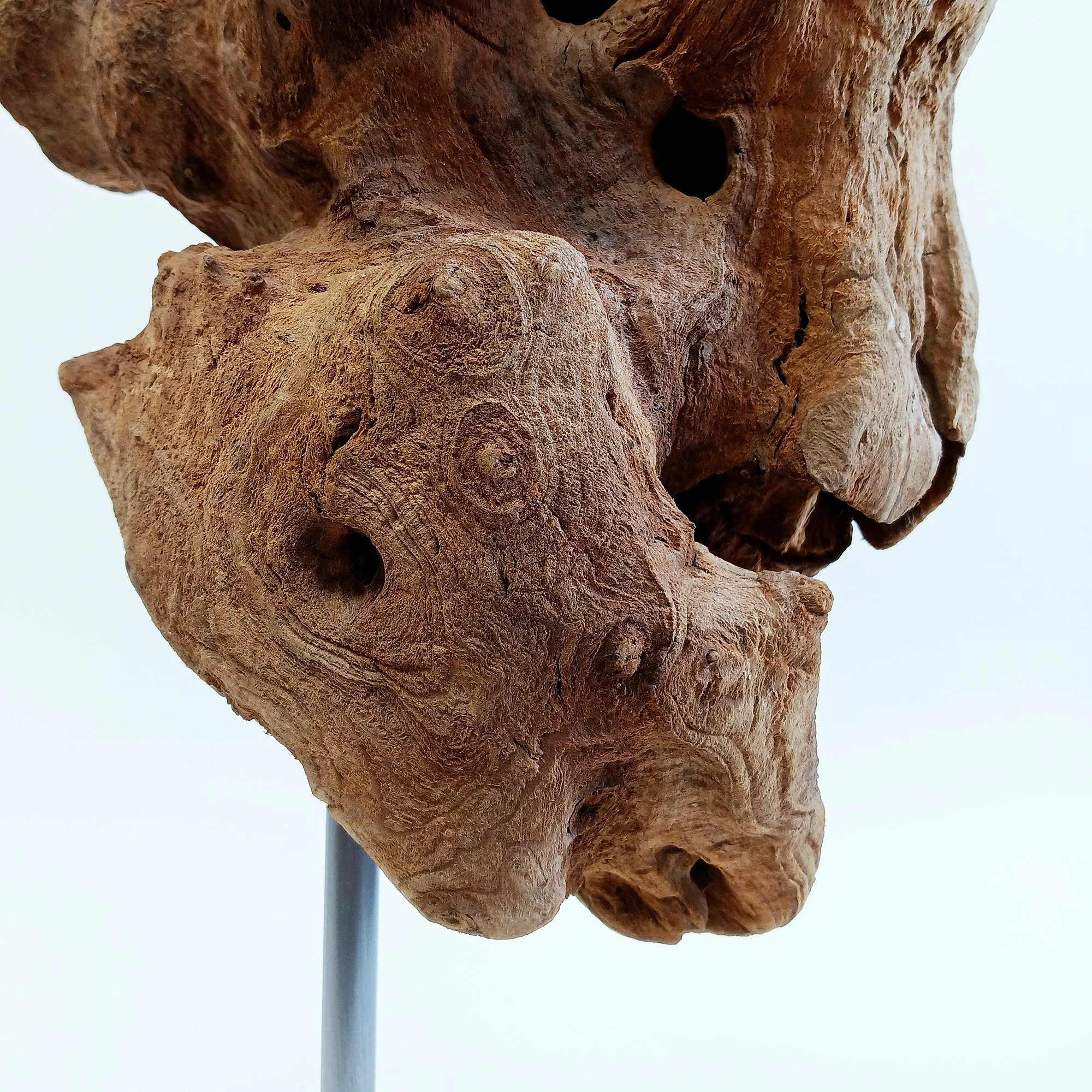 migliodesign-missing-link-driftwood-table-sculpture-7.jpg