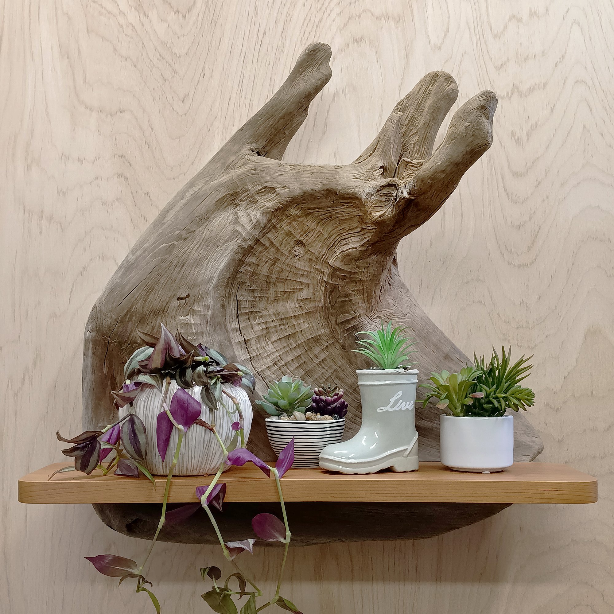 migliodesign-in-the-curl-driftwood-wall-shelf-sculpture-9.jpg