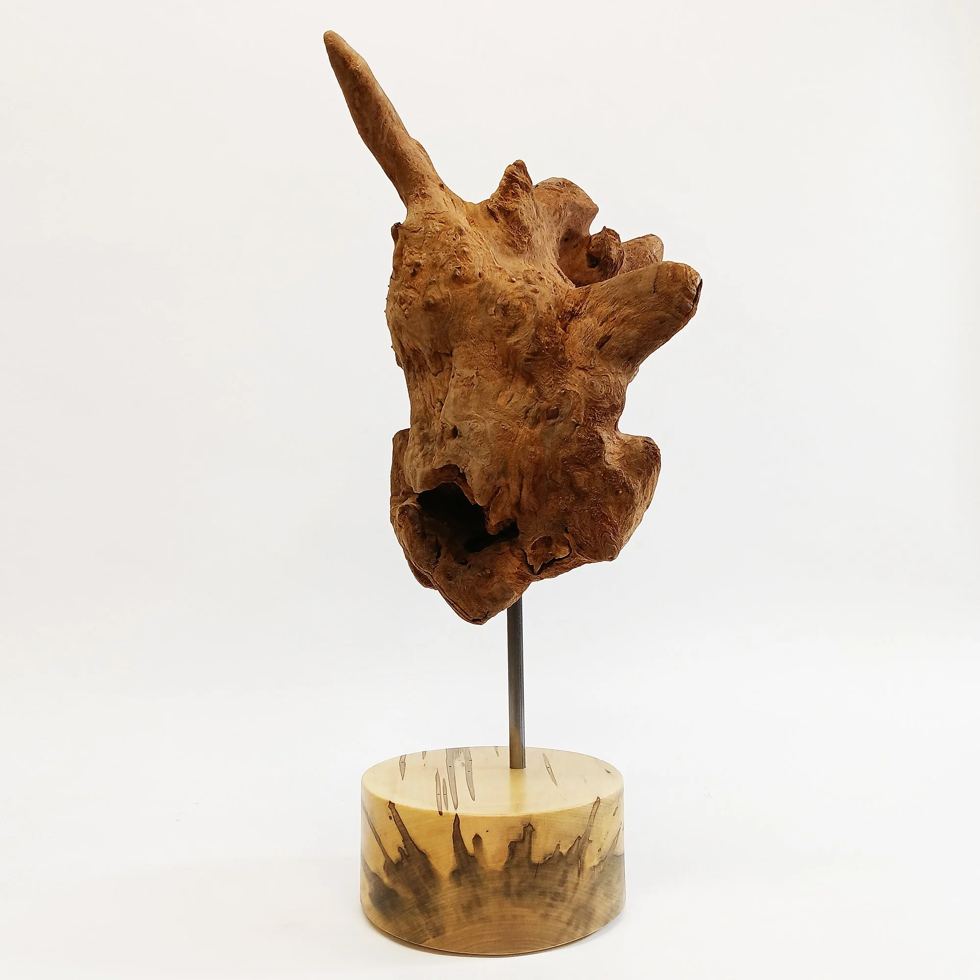 migliodesign-missing-link-driftwood-table-sculpture-3.jpg