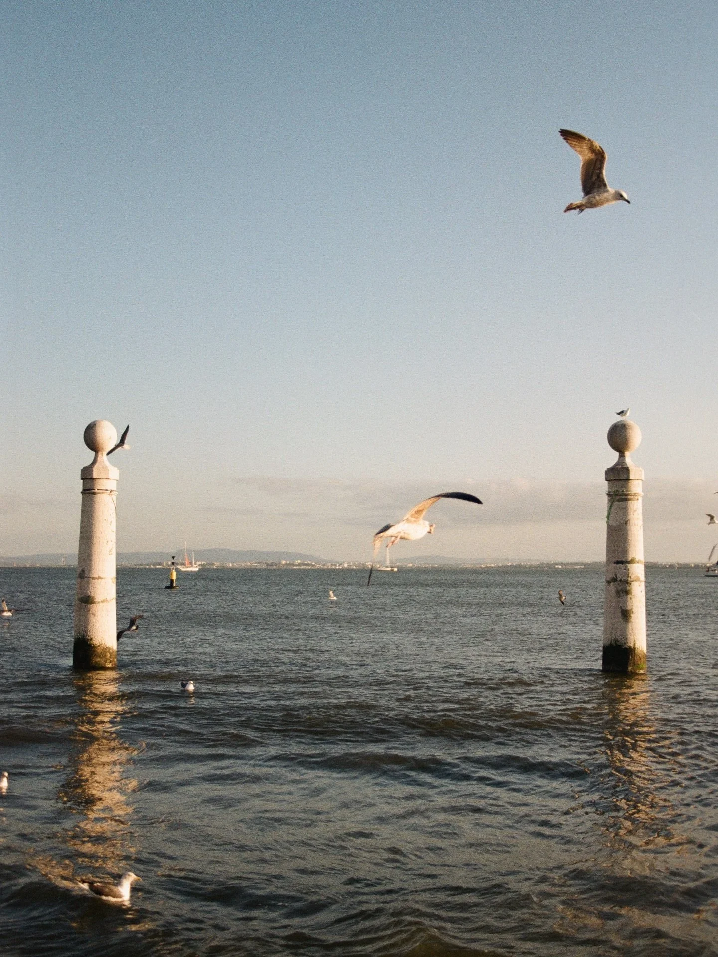 City&rsquo;s on the coast are just a different breed&hellip;.and one I&rsquo;m very much on board with 👌🏼 Walking to the water each evening to catch the last light&hellip;.(and the crazy man feeding the seagulls) is always a favourite holiday routi