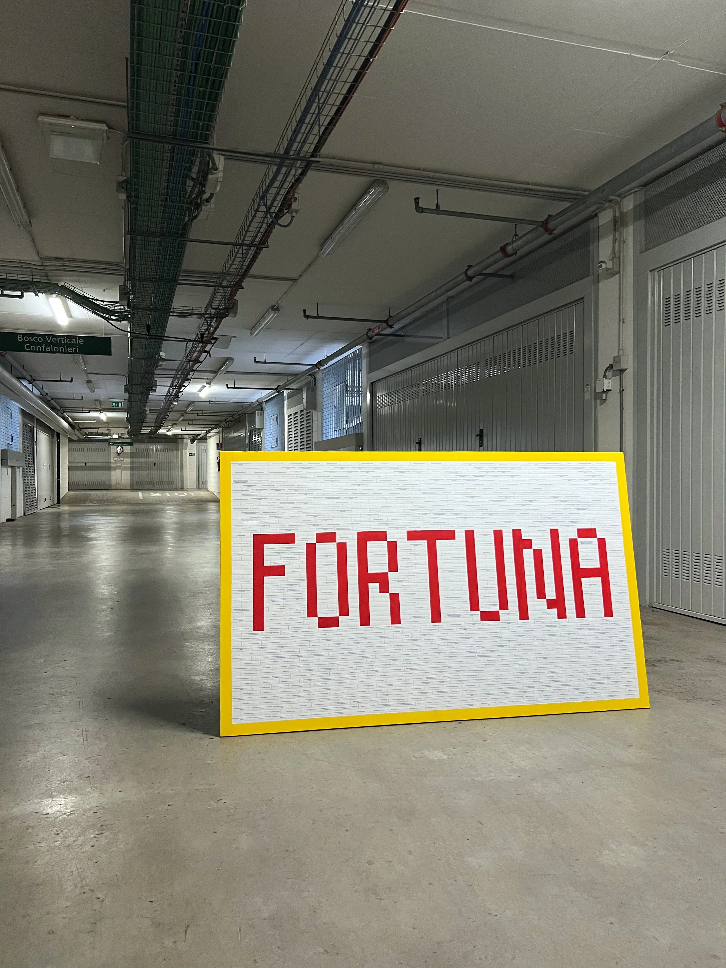 fortuna_1_in_garage.jpg