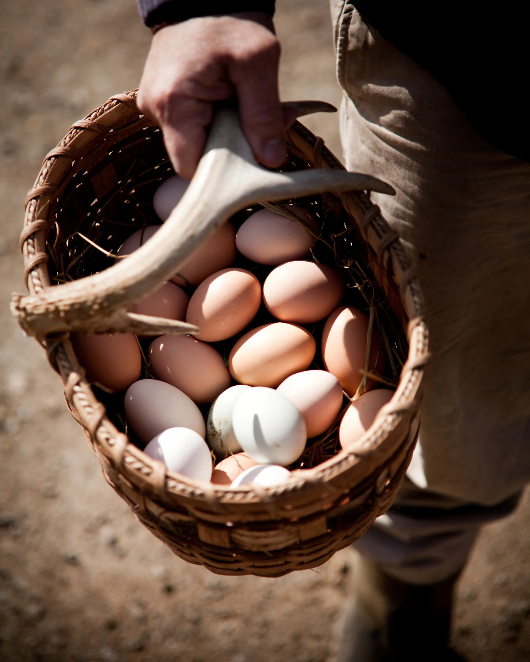 Person holding a basket filled with a variety of eggs, including brown and white chicken eggs, with a bone handle strap visible.