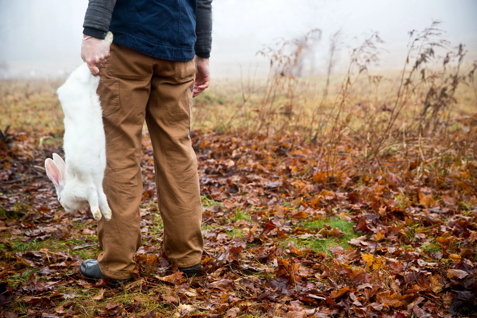 Person standing outdoors on a foggy autumn day holding a dead rabbit by its hind legs with one hand, leaves on the ground, and bare bushes in the background.