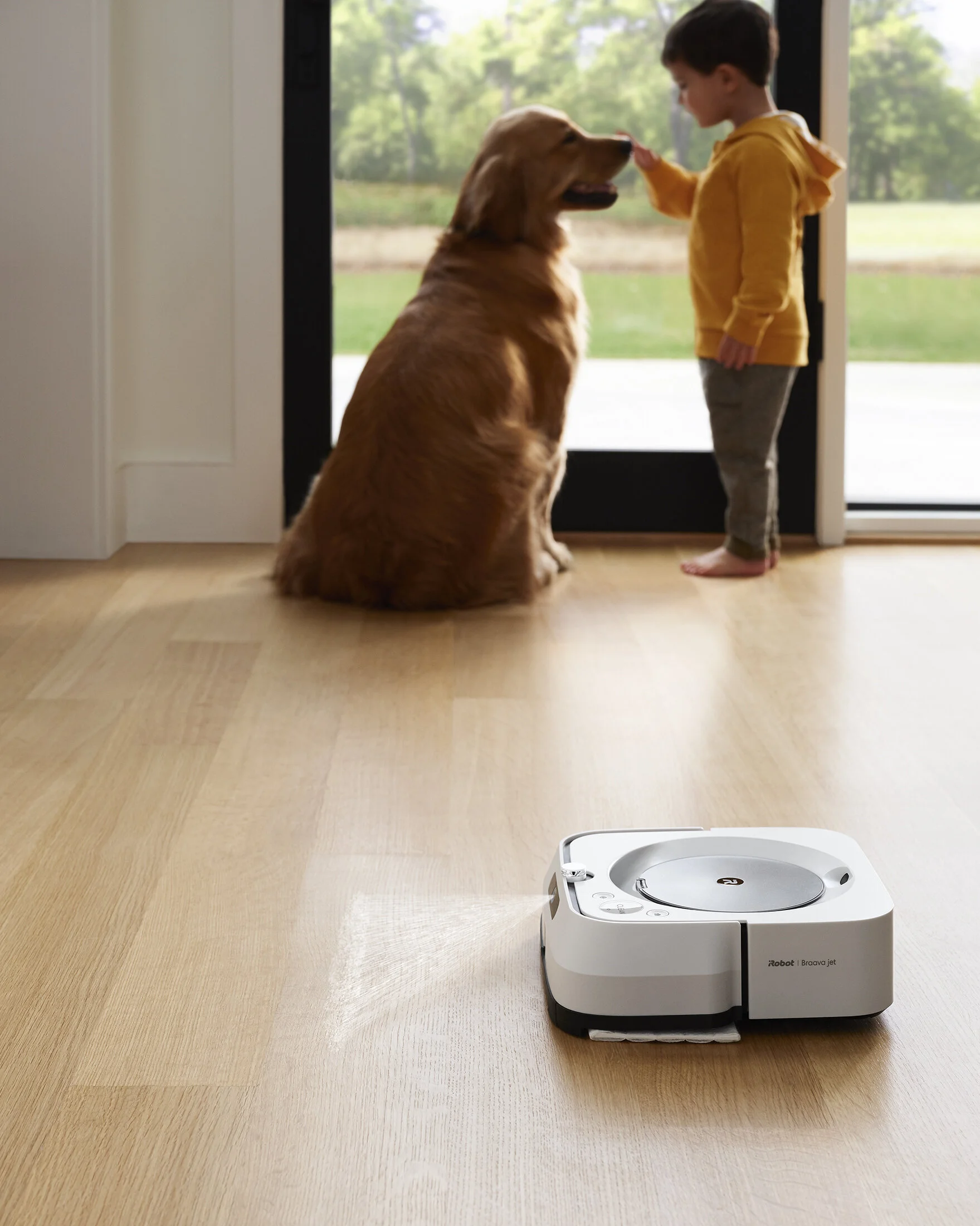 A robotic vacuum cleaner on a wooden floor with a large dog and a young boy sitting by the glass door, dog and boy touching noses. Photographed for iRobot. Boston product photographer.