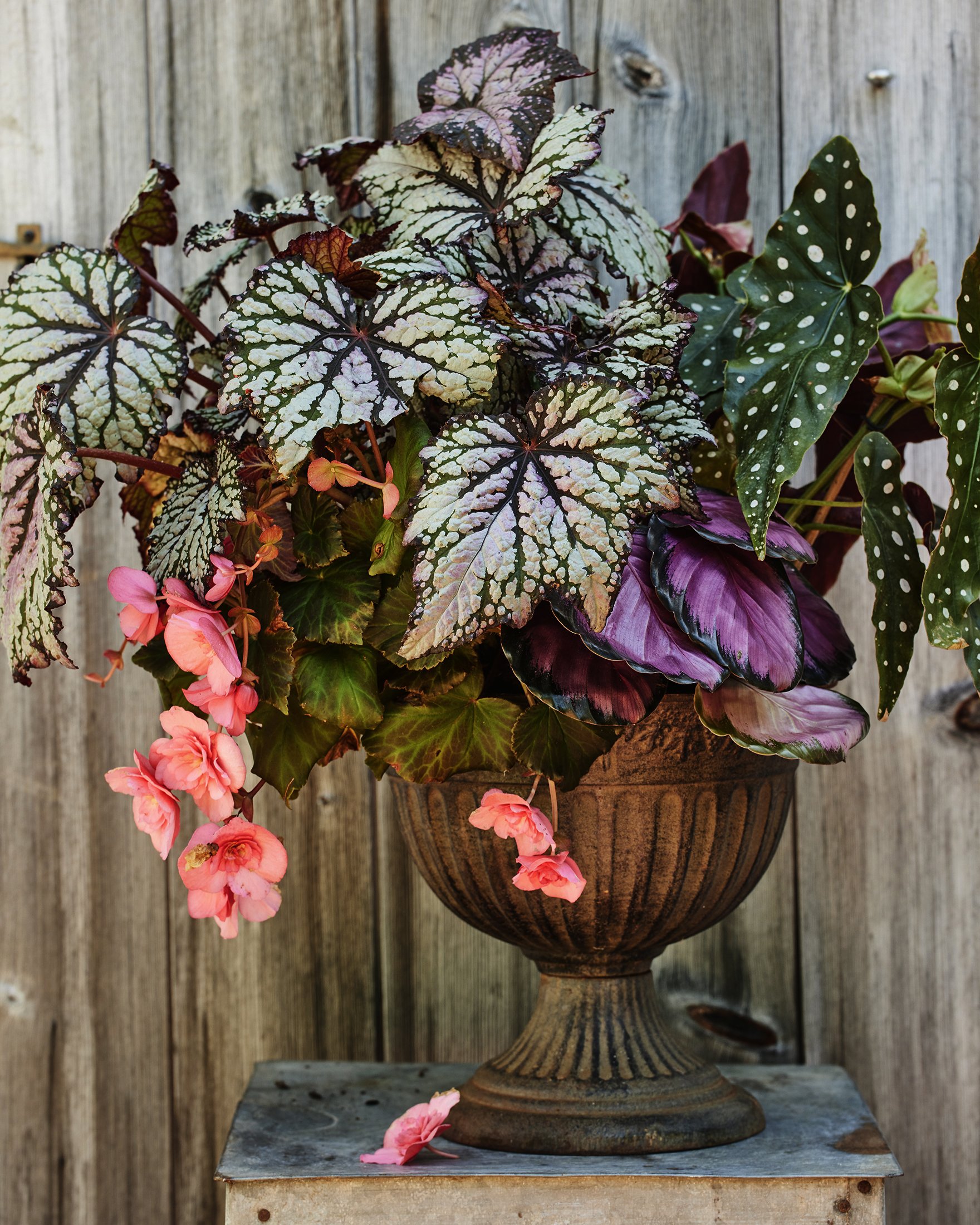 Galvanized and Tin_258.jpg