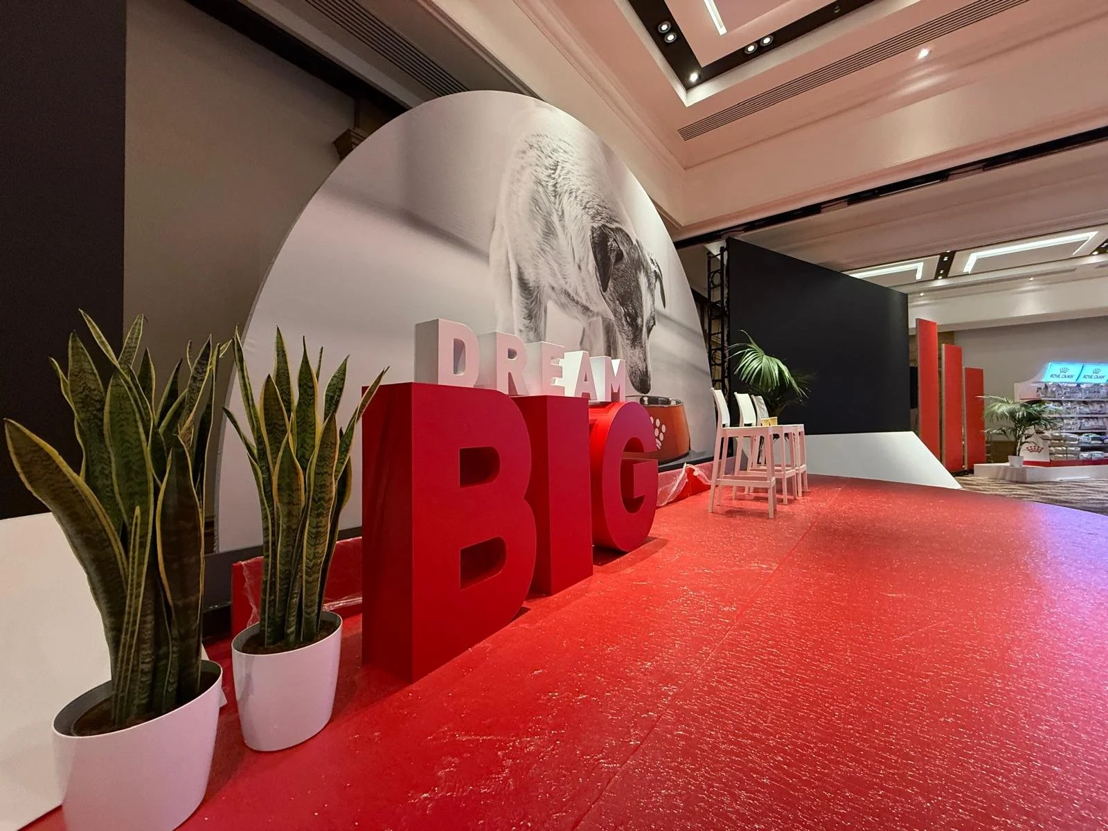 WhatsApp Image 2026-03-16 at 06.59.04 (1).jpeg