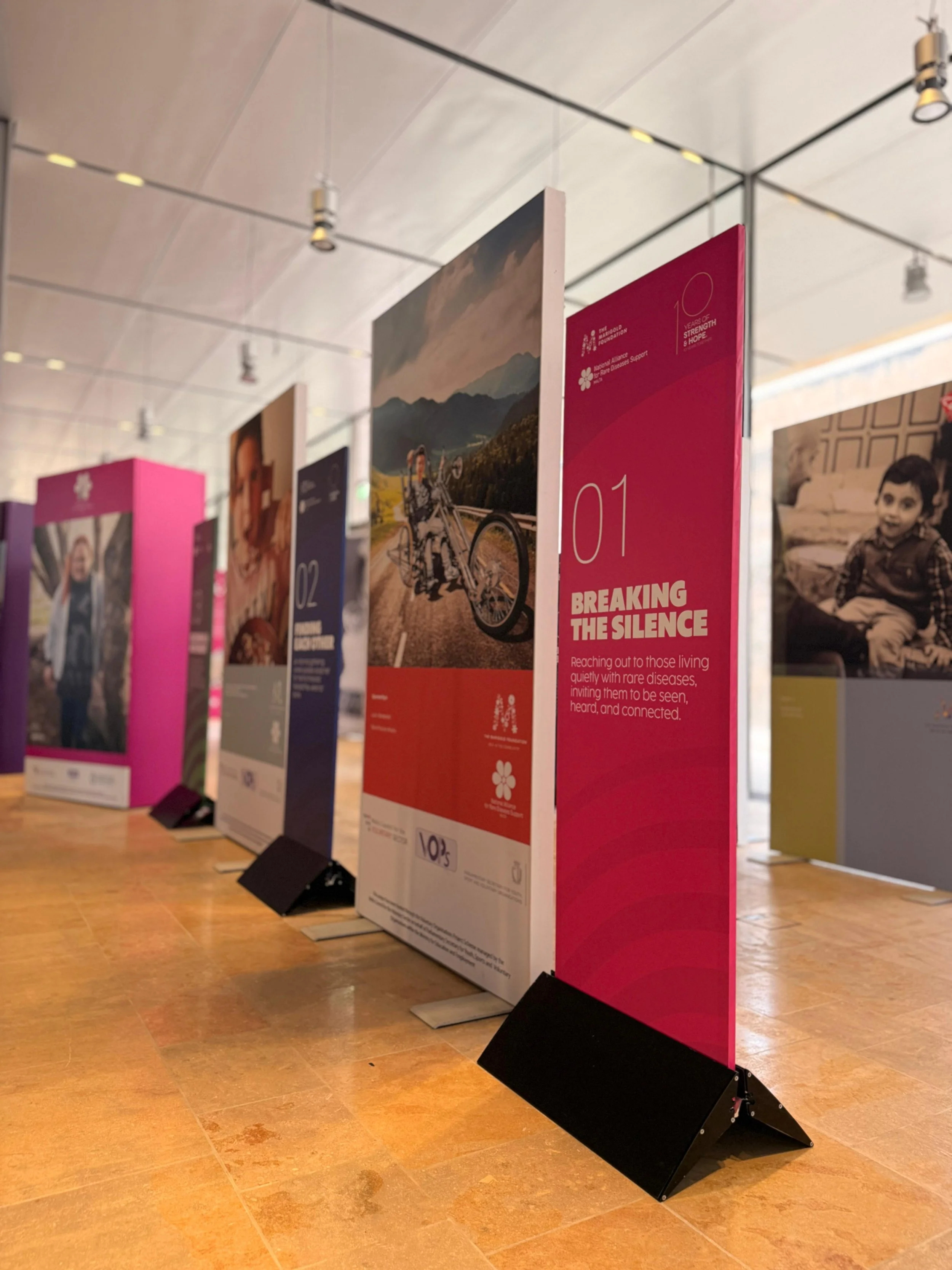 WhatsApp Image 2026-01-29 at 12.16.22.jpeg