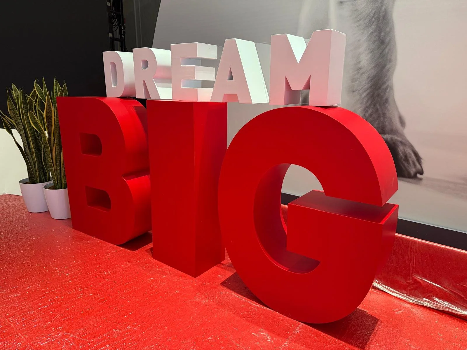 WhatsApp Image 2026-03-16 at 06.59.04 (3).jpeg