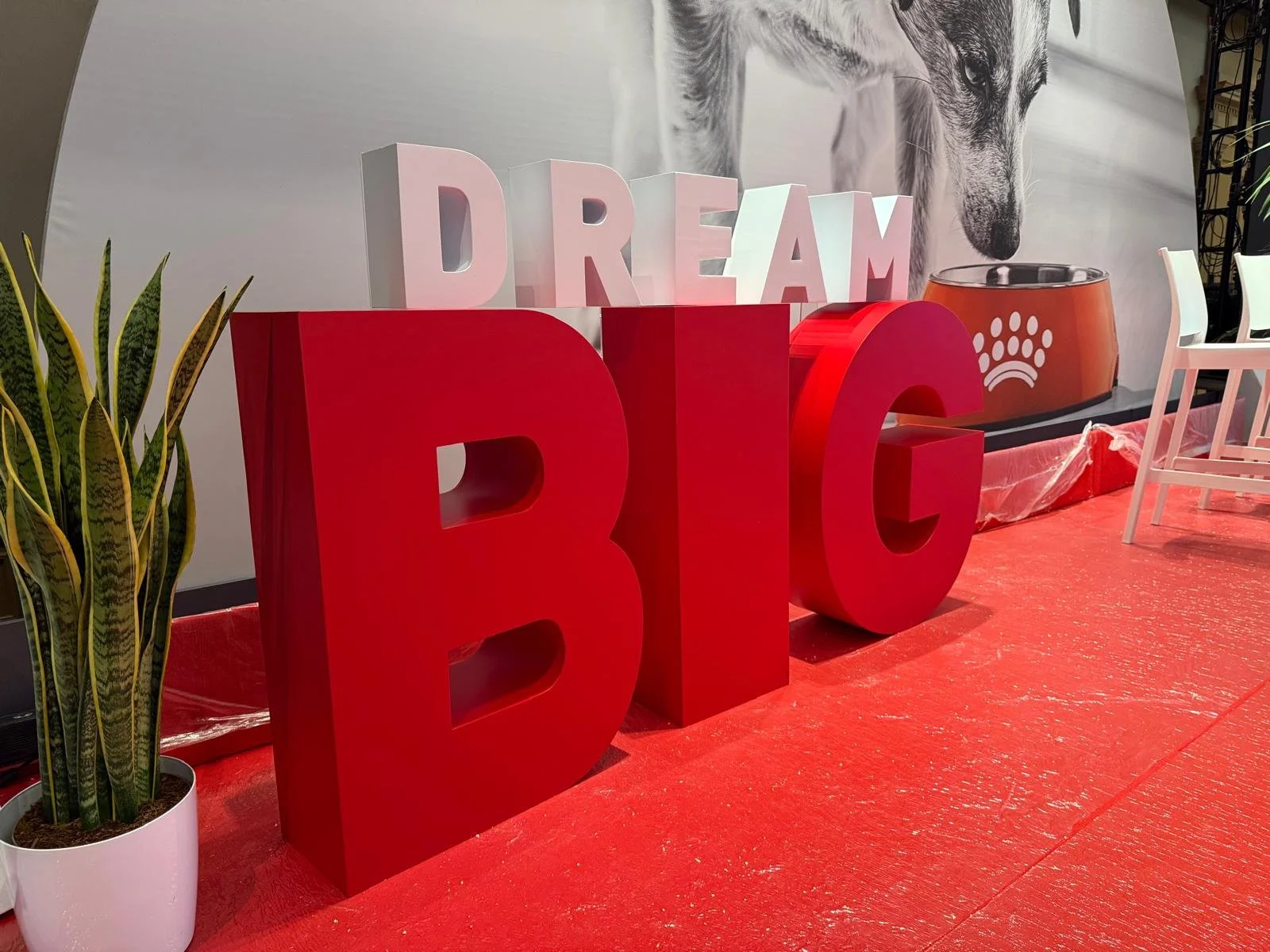 WhatsApp Image 2026-03-16 at 06.59.04.jpeg