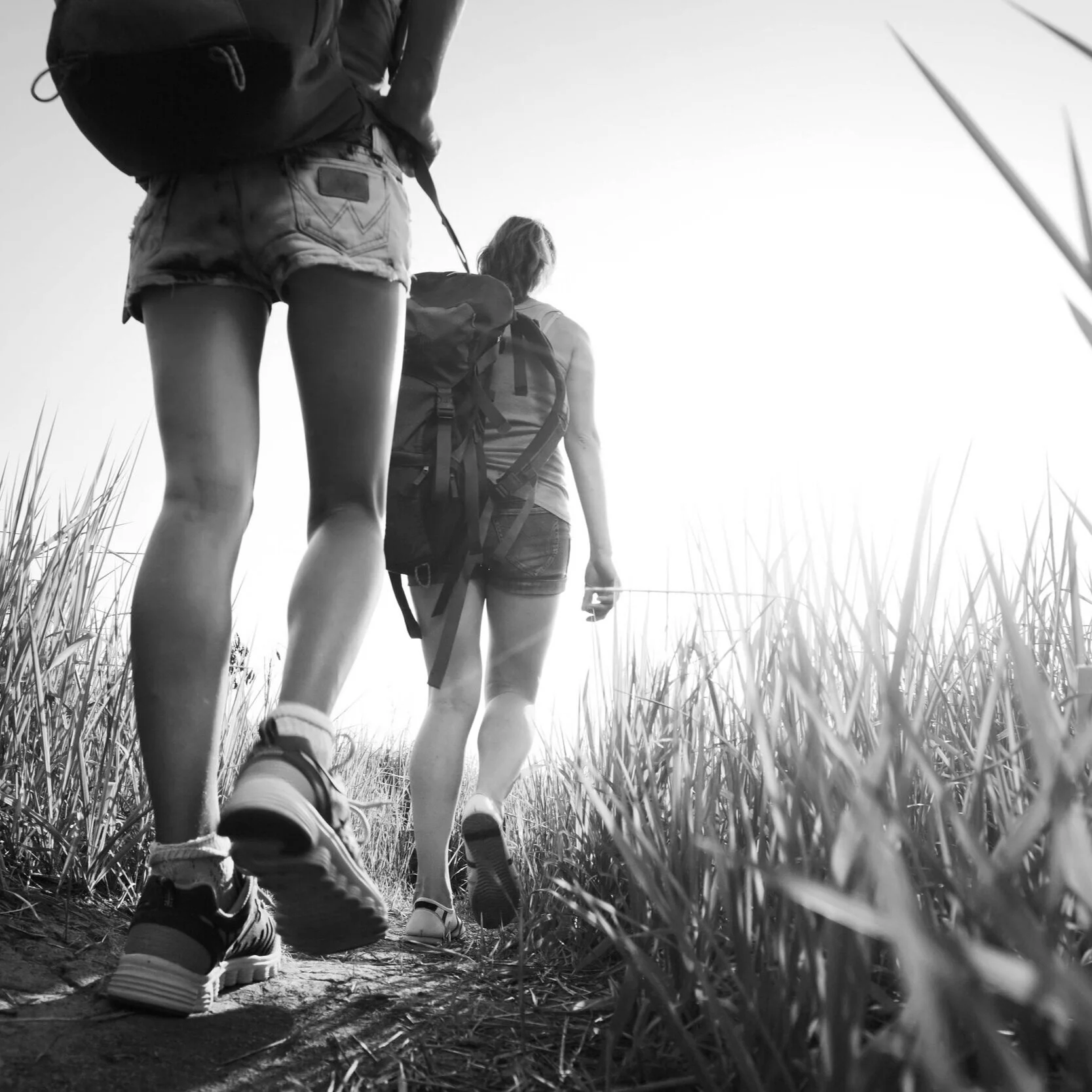 This agency life: Our favourite walks