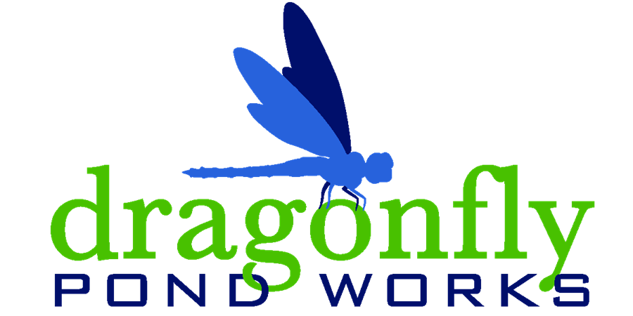 Dragonfly Pond Works