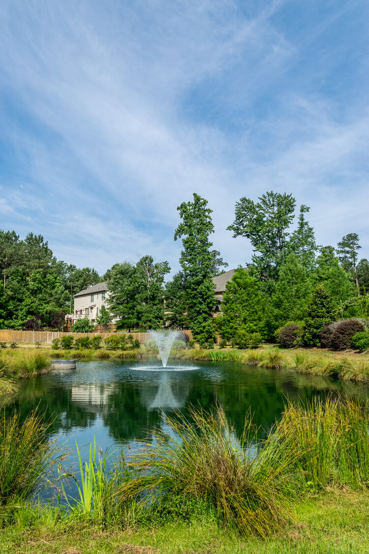 Beautiful community pond positively impacted by the neighborhood's efforts to promote great water quality.