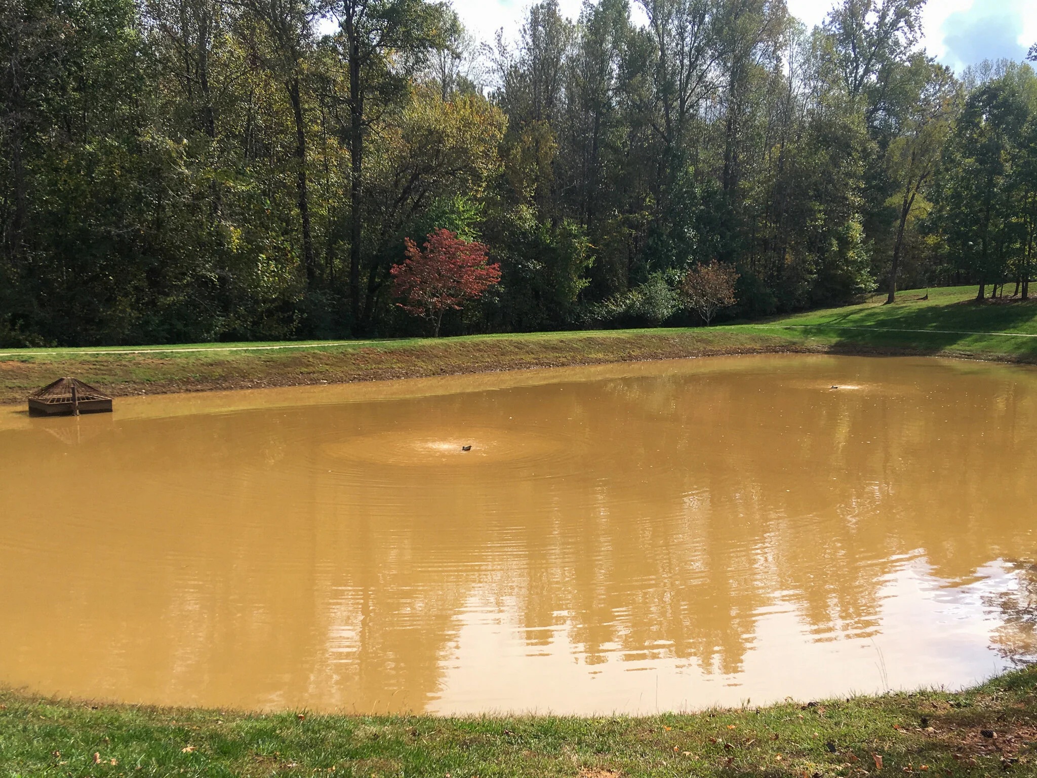 Stormwater Control measure Water Quality Solutions — Dragonfly Pond Works