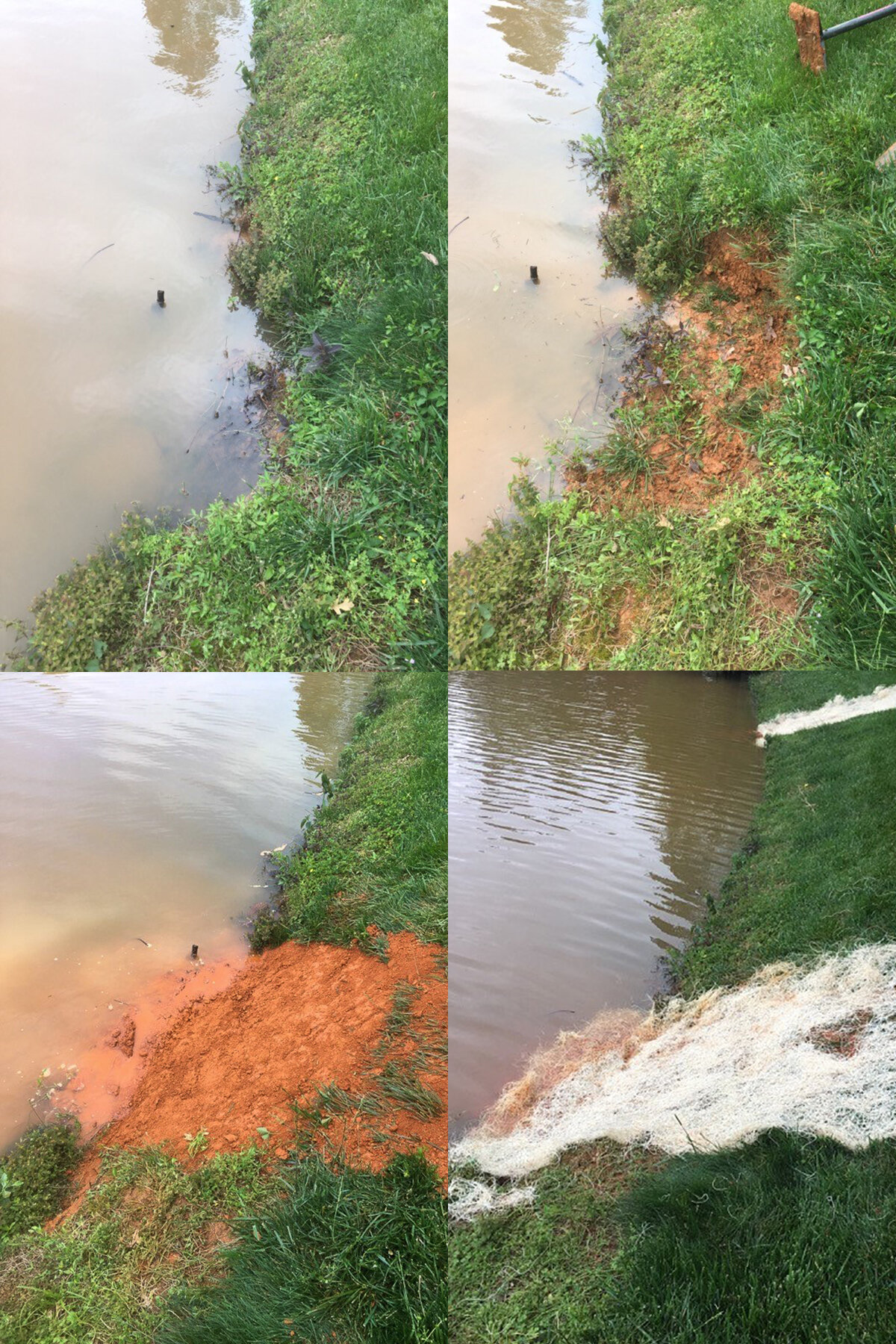 Muskrat Pond Damage Avoiding Damage And Costly Repairs Dragonfly