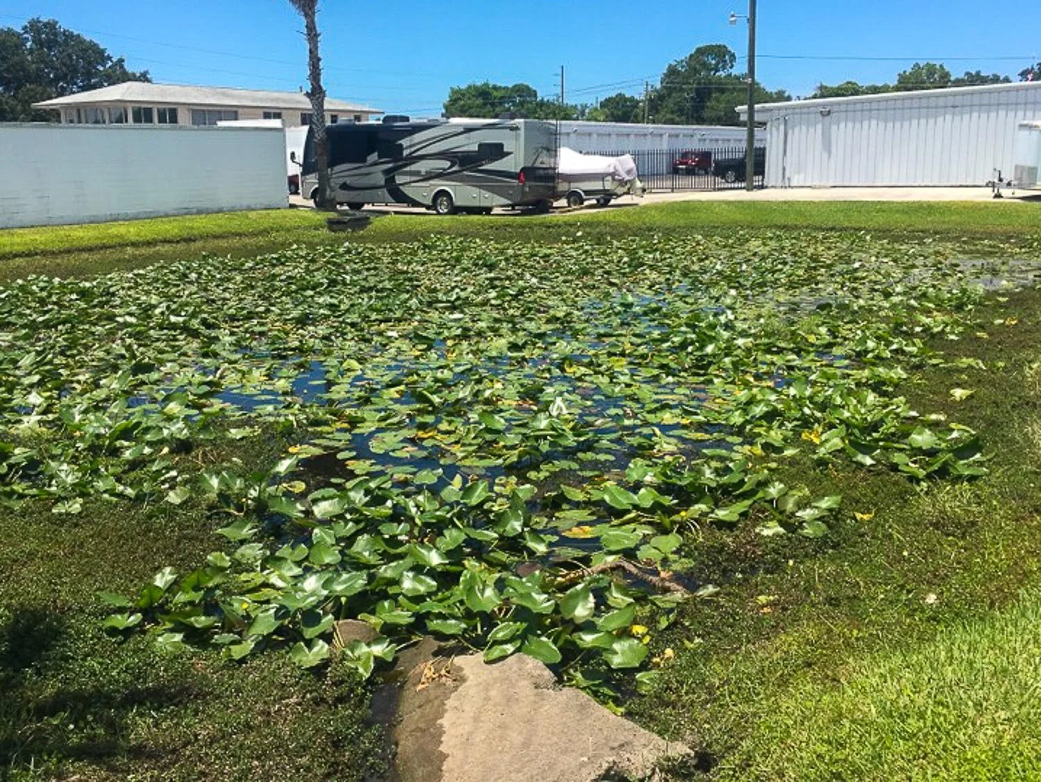 Pond & Stormwater Management Contractor Experts — Dragonfly Pond Works