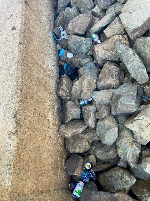 Dragonfly In The Community: Adopt-A-Shoreline — Dragonfly Pond Works
