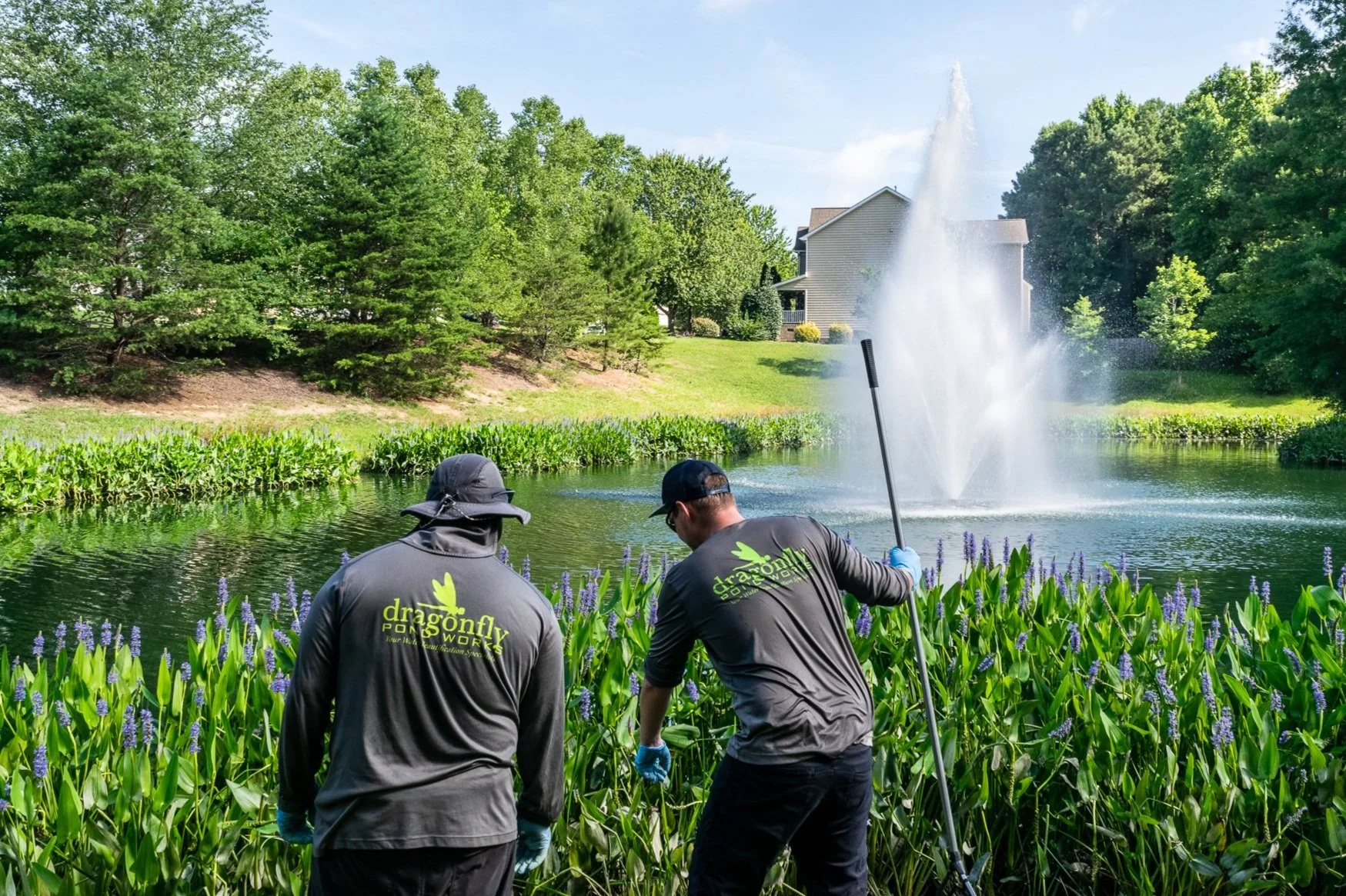 Two stormwater pond maintenance technicians assess a retention pond shoreline for signs of a sinkhole during a routine visit. The pond has a thriving perimeter of pickerel weed with a large fountain in the middle.