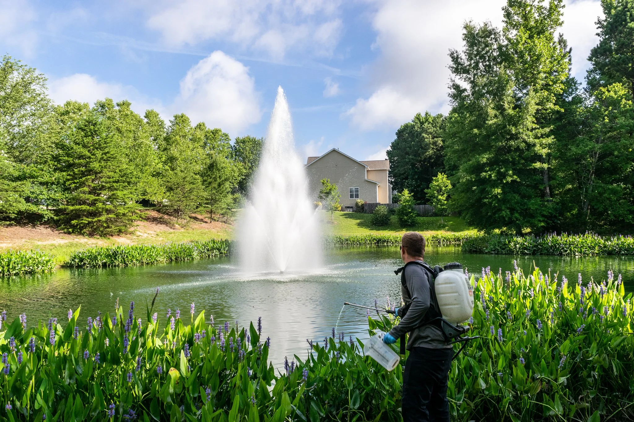 Pond Maintenance Technician maintains Carolina Forest HOA Pond with centered fountain and Pickerel Weed buffer.