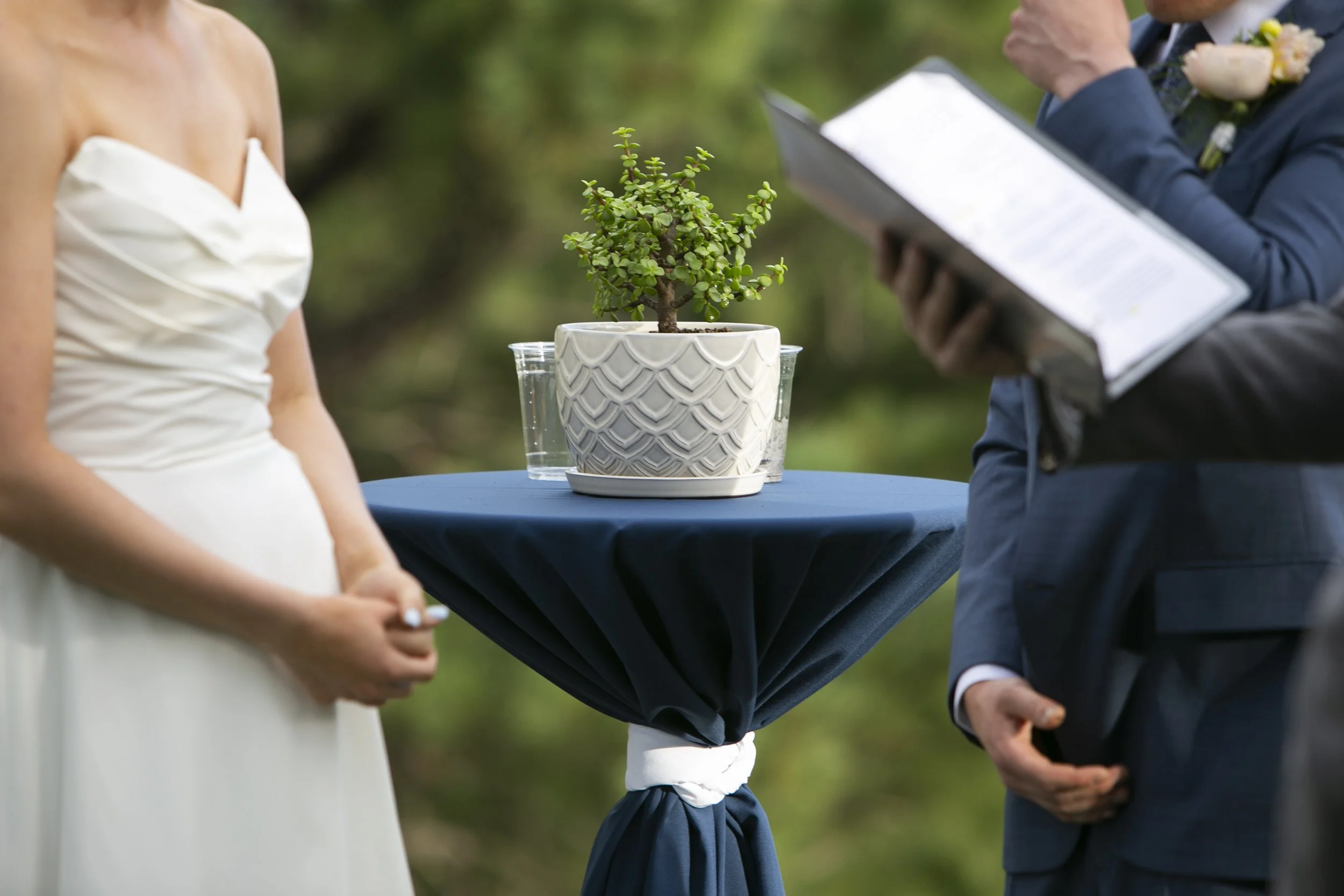 SplainWedding_493.jpg