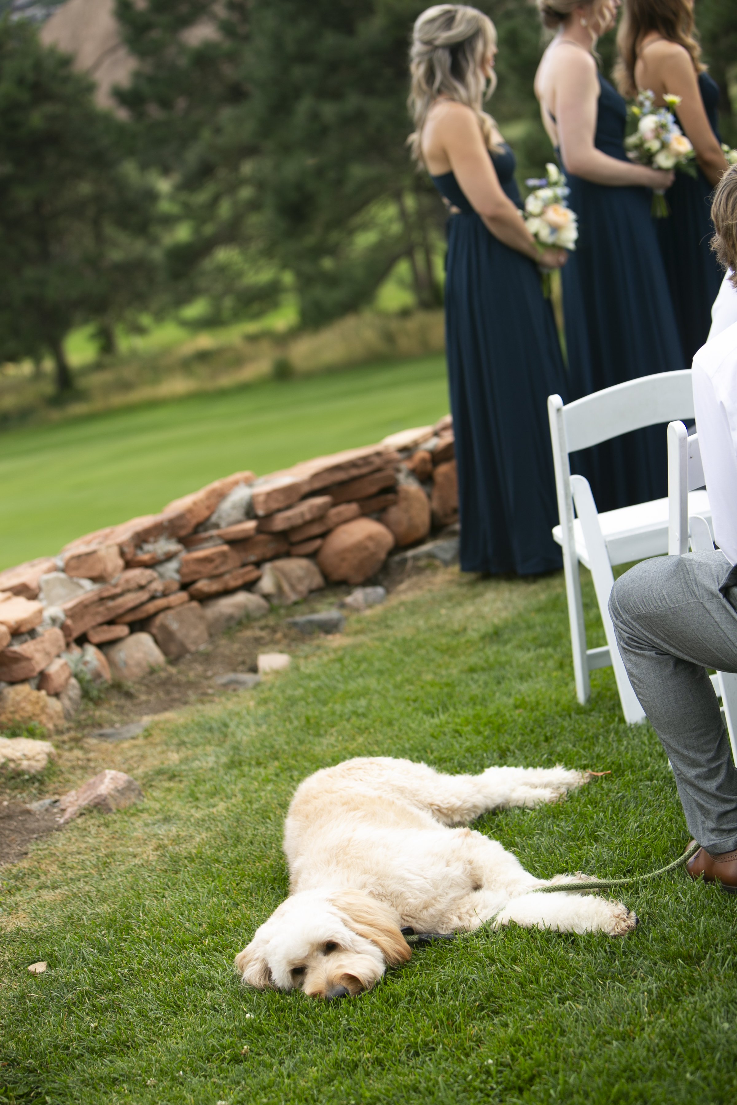 SplainWedding_461.jpg