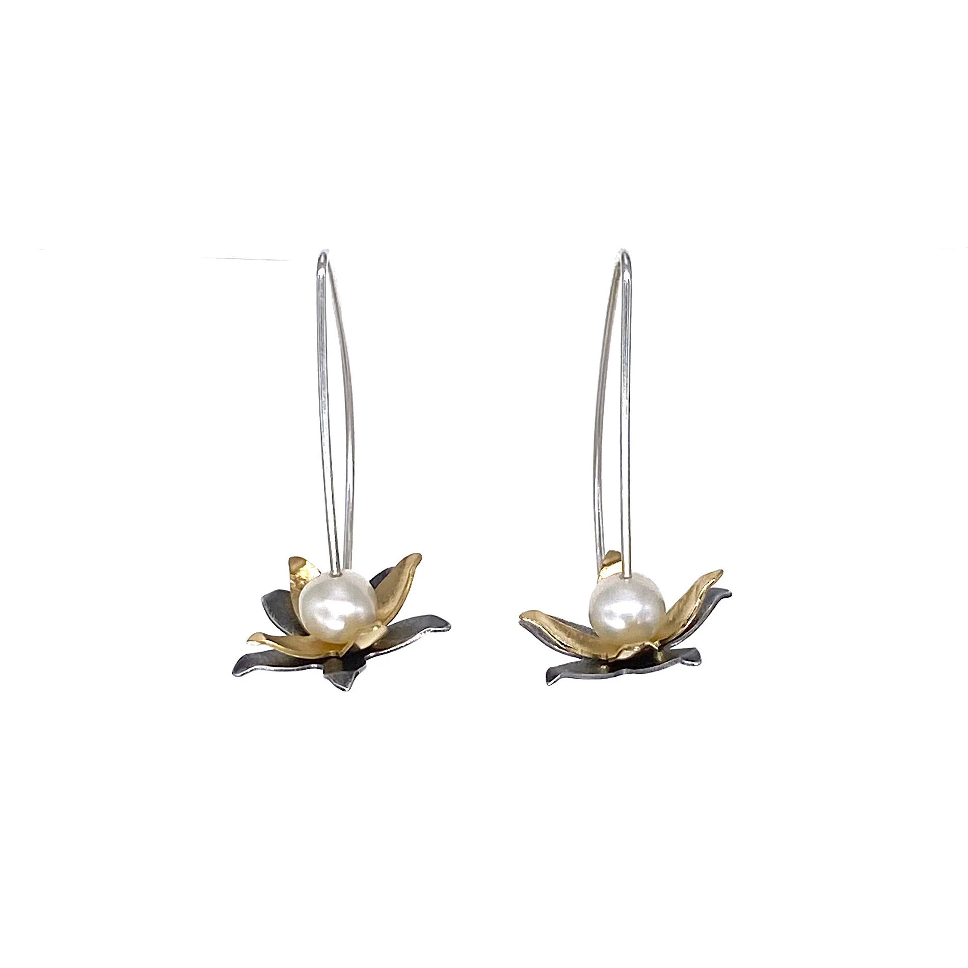 76455B6F-FDD7-4D95-A6E2-4A7ED161BD12