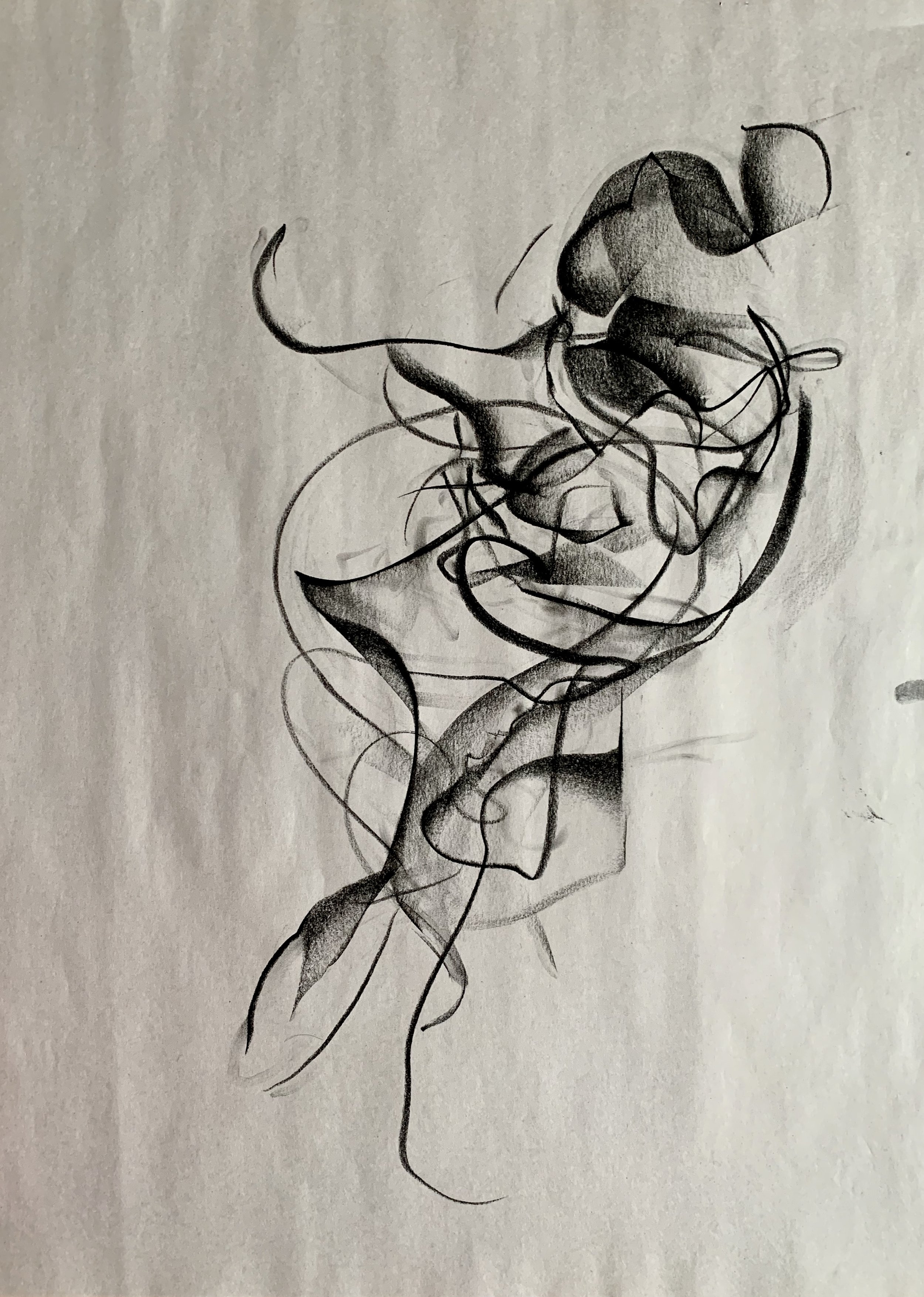 IMG_3372.jpeg