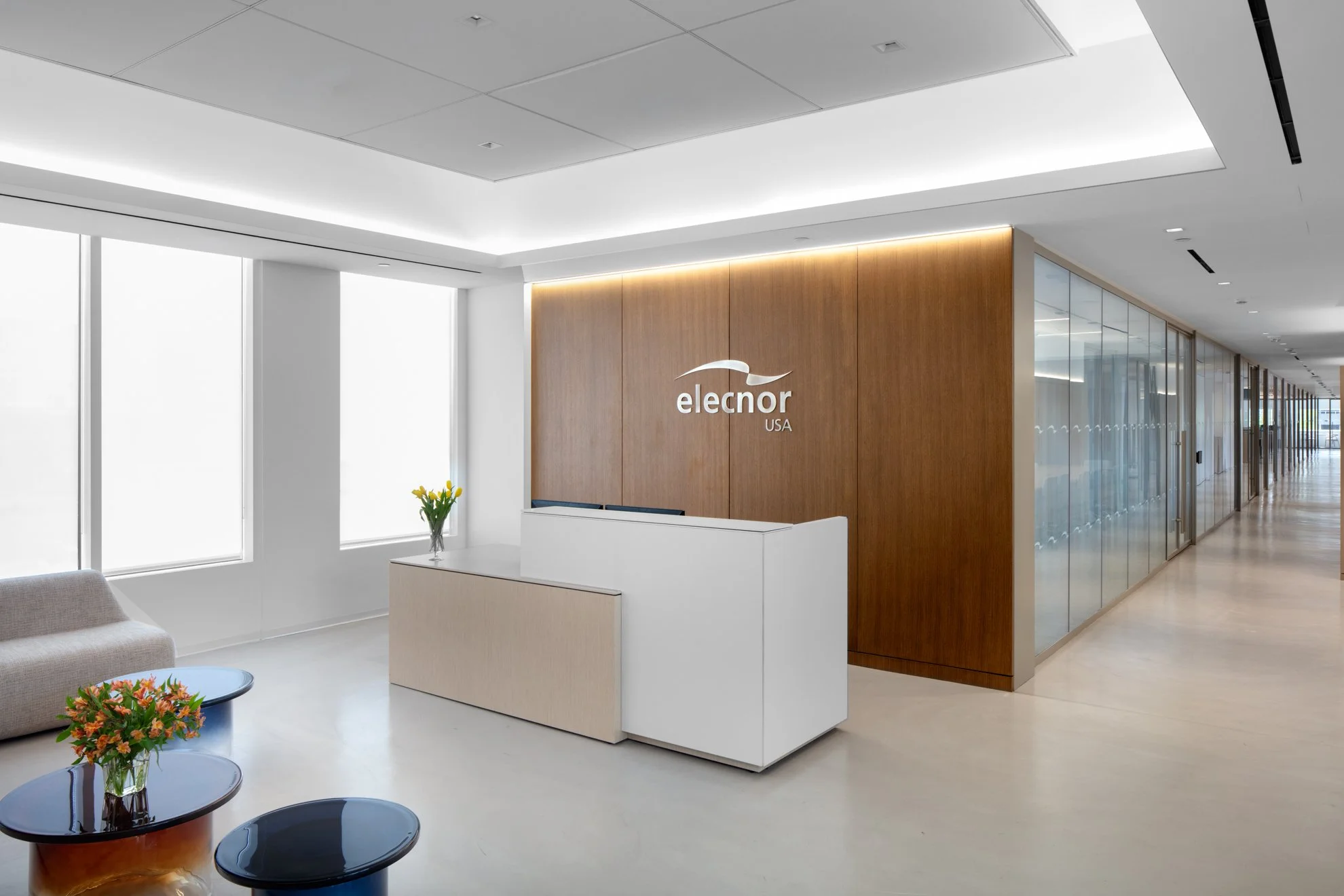 Elecnor USA