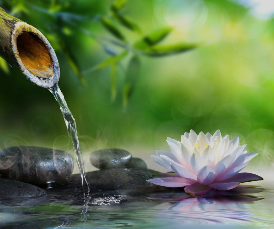A bamboo spout pouring water into a pond with rocks and a white lotus flower floating on the surface, surrounded by green foliage.