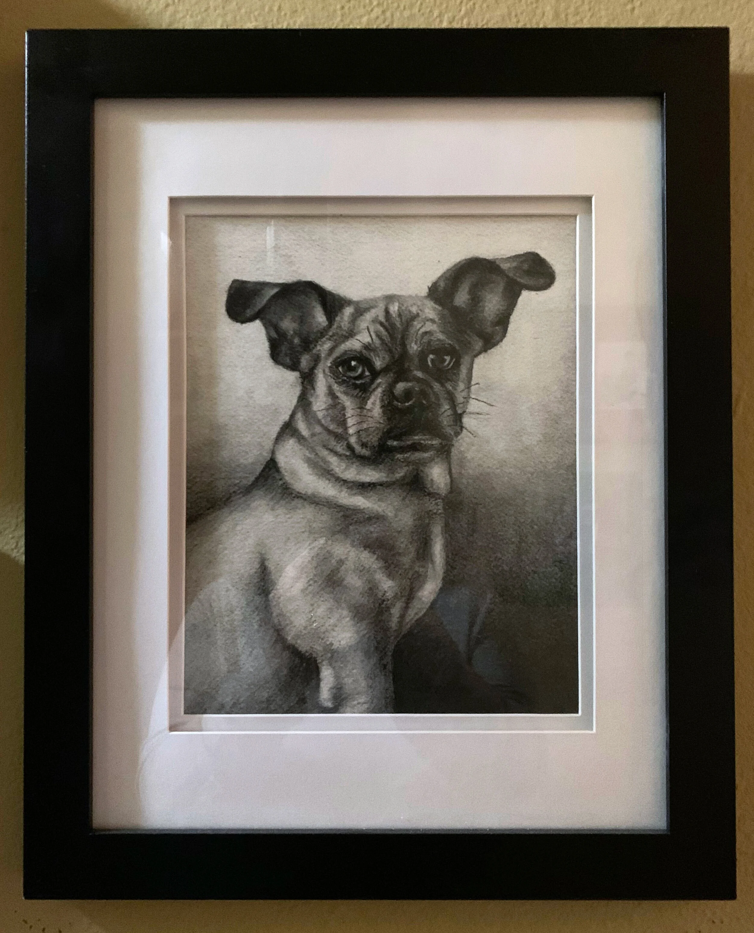 PeppyPortrait.jpg