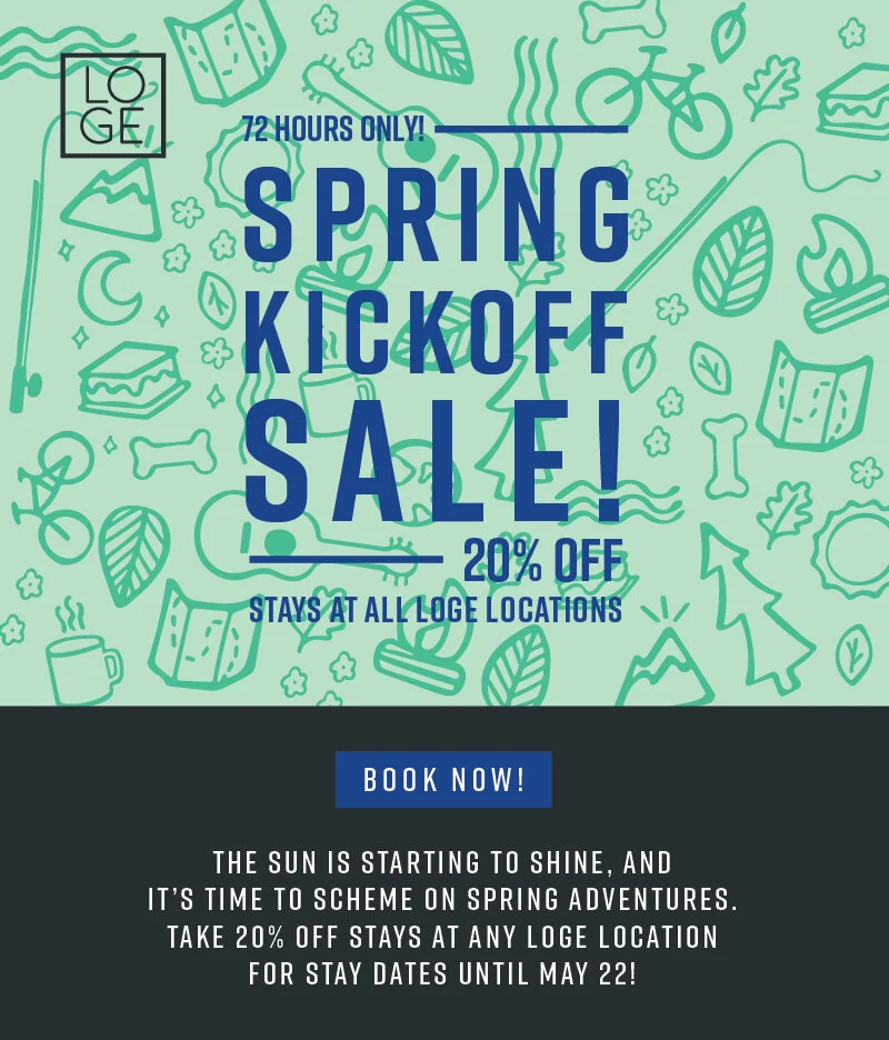 EMAIL_2020SpringFlash-01.jpg