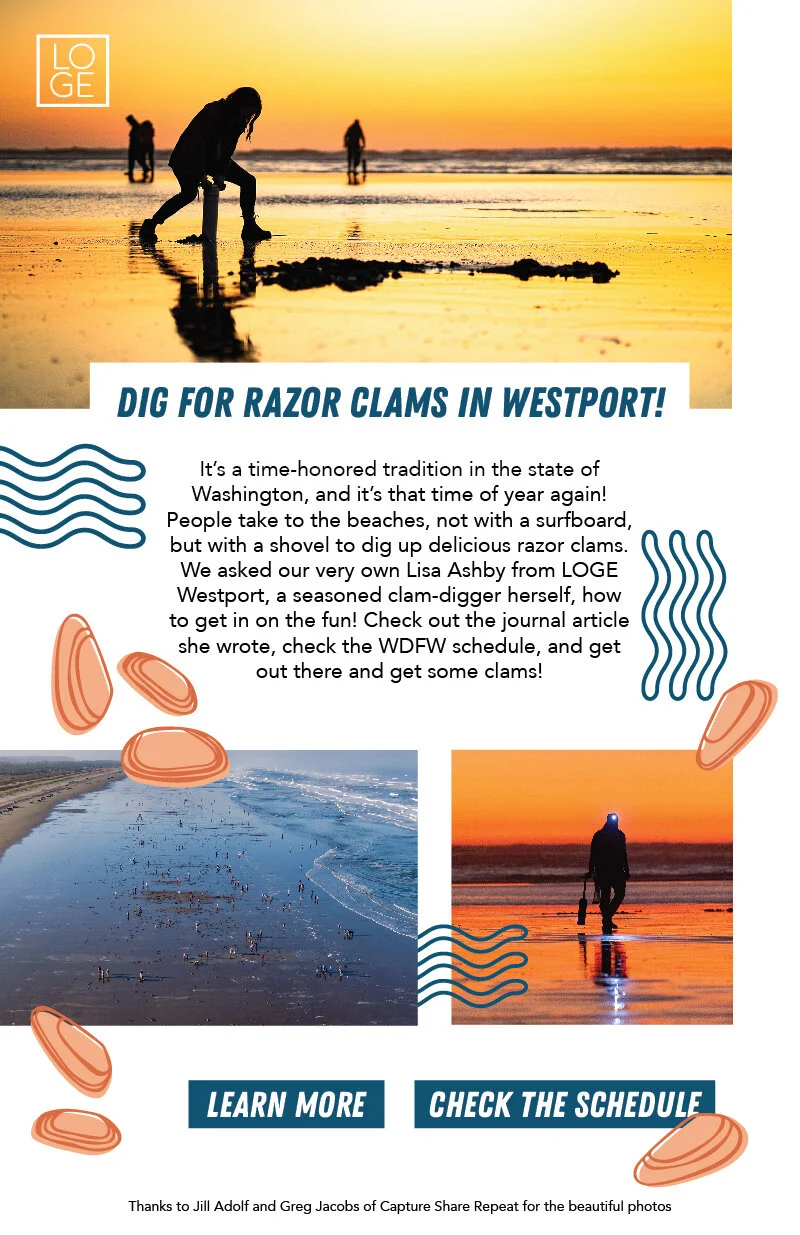 WESTPORTClamDigsbuttons-01.jpg