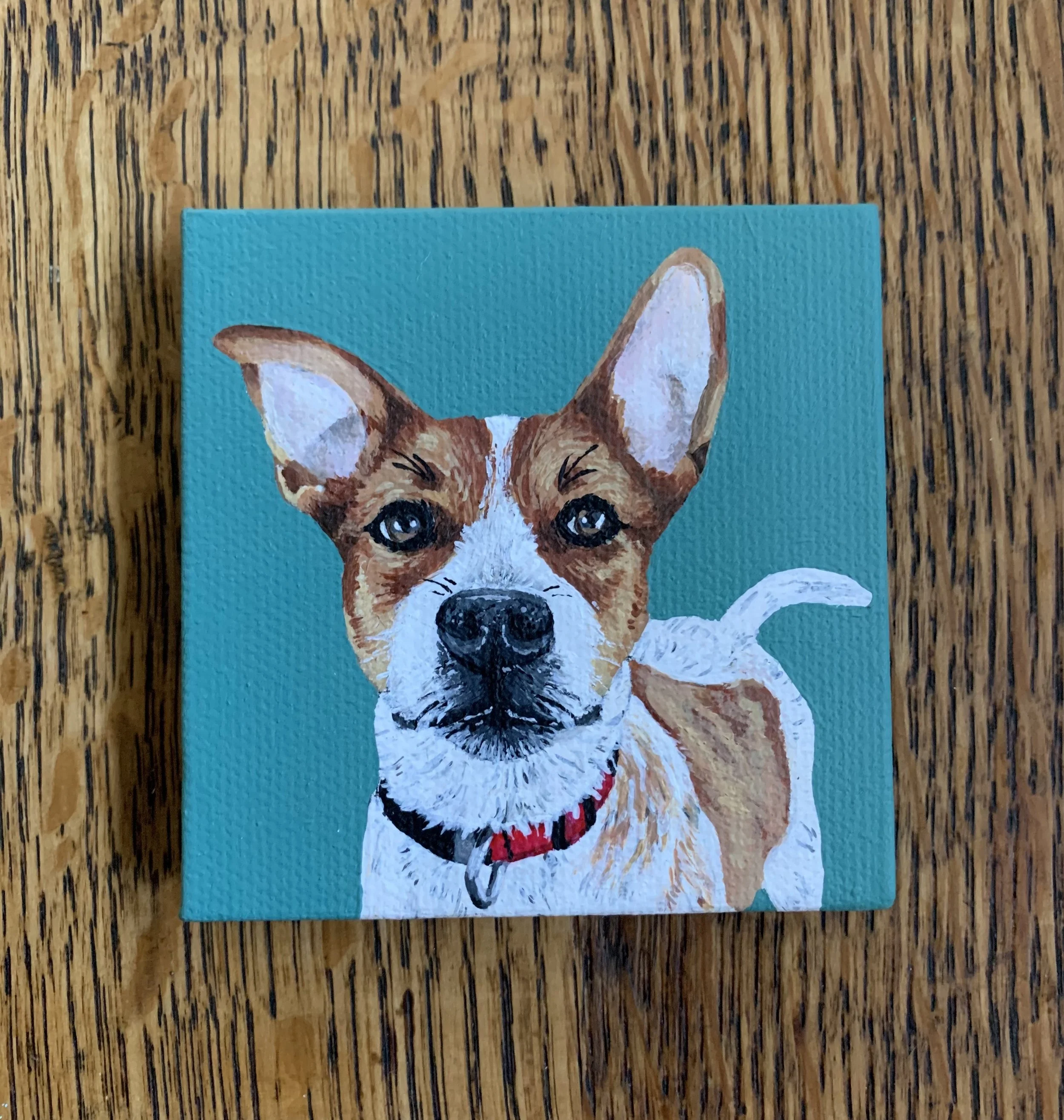 JerrodDog.jpeg