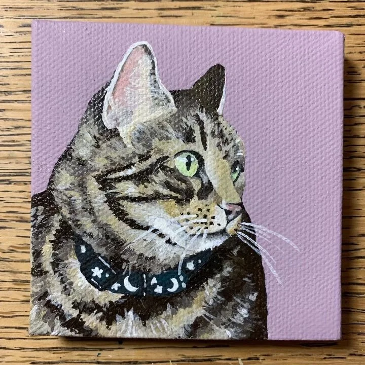 ZoeCat.jpeg