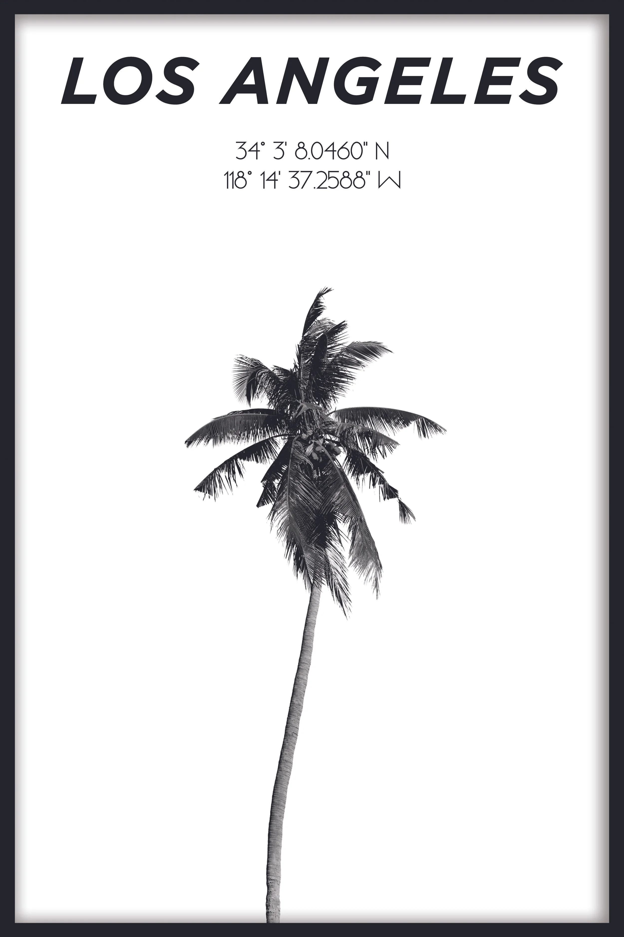 138044_L26_LAPalmtree_10x15.jpg