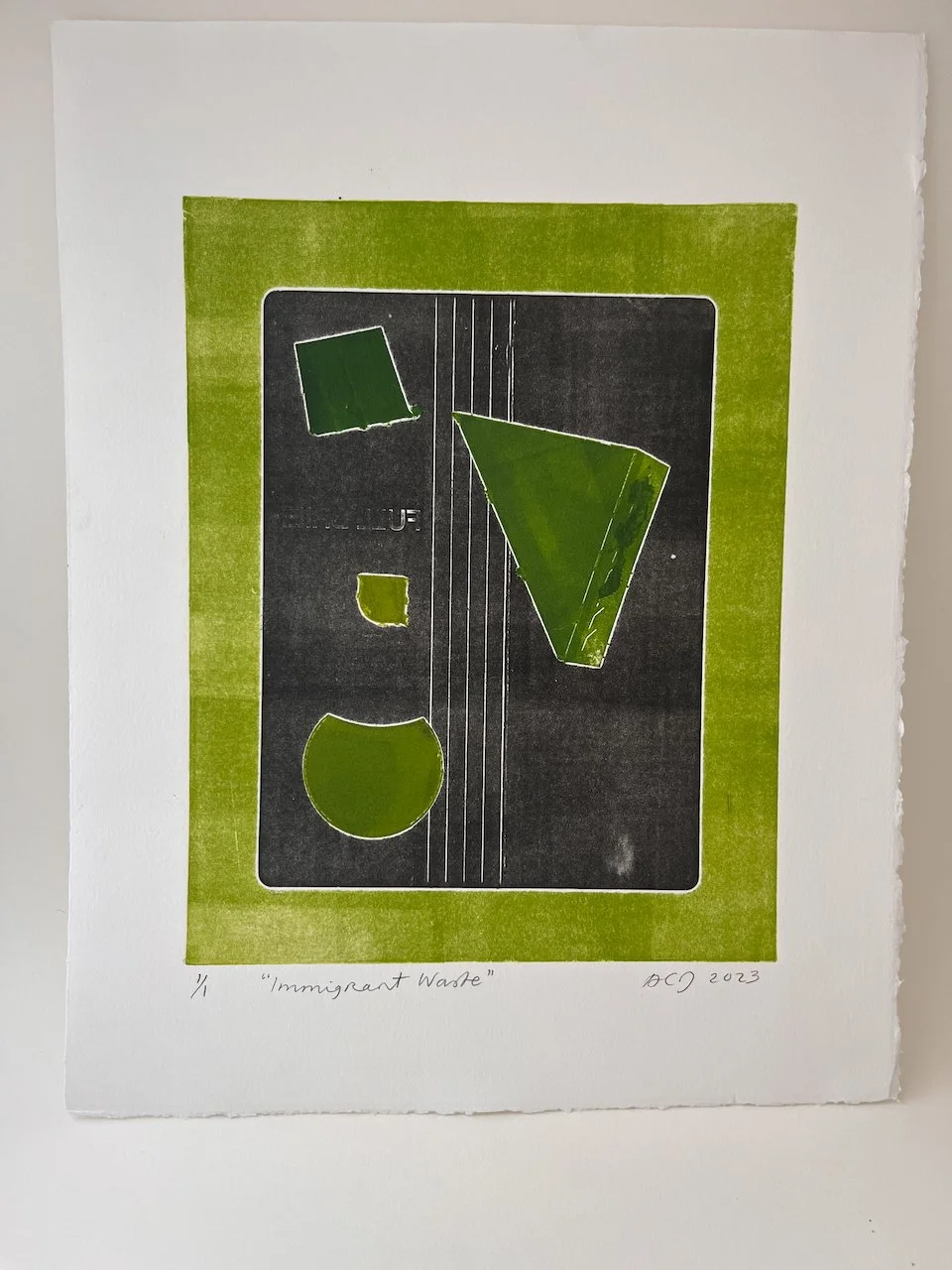 Immigrant Waste_3 .jpeg