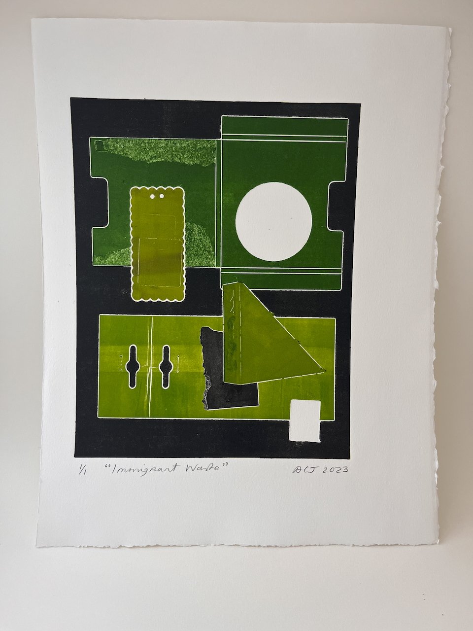 Immigrant Waste_4.jpeg