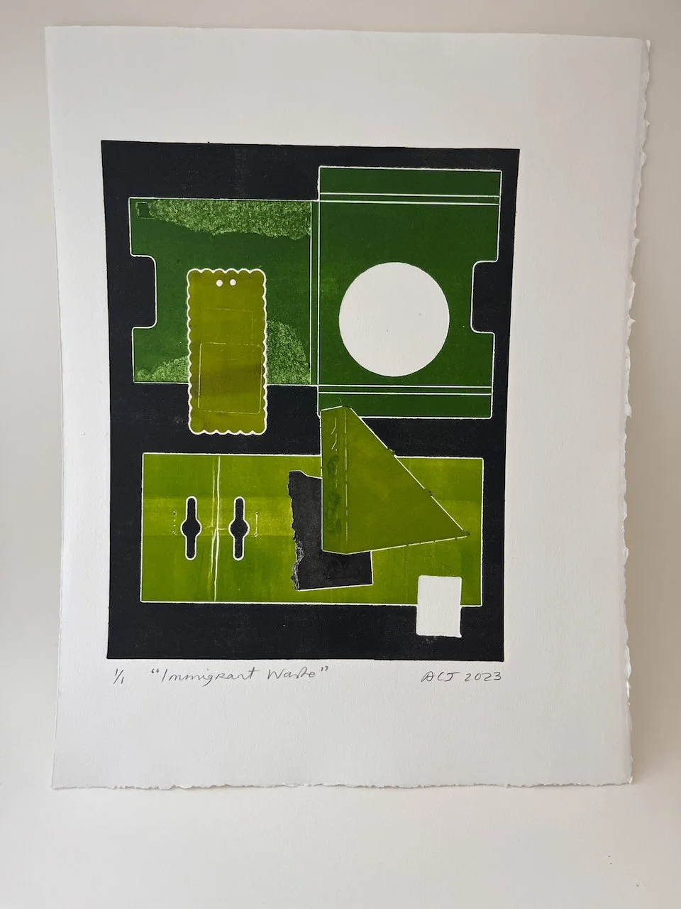 Immigrant Waste_4.jpeg