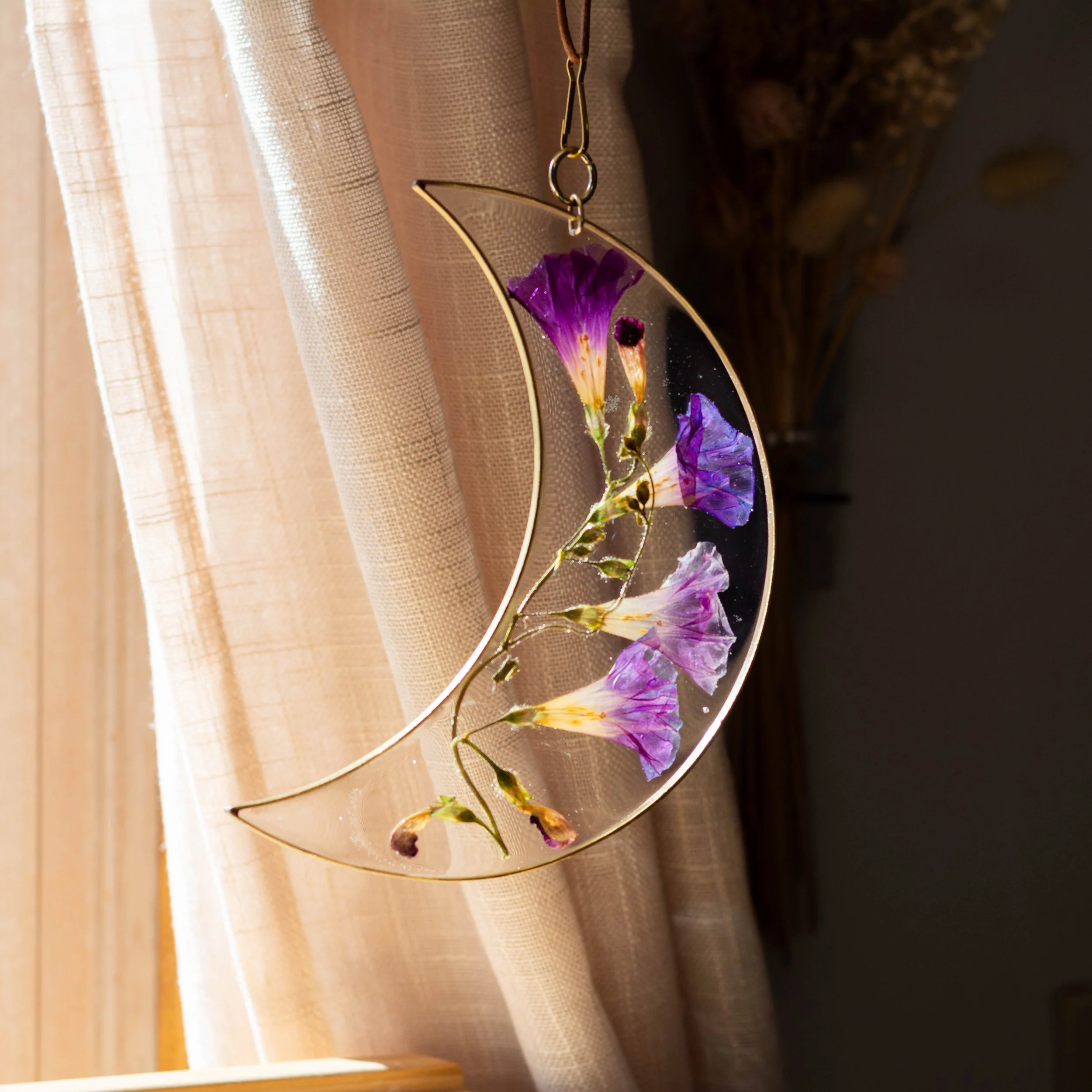 7" moon morning glory-1.jpg