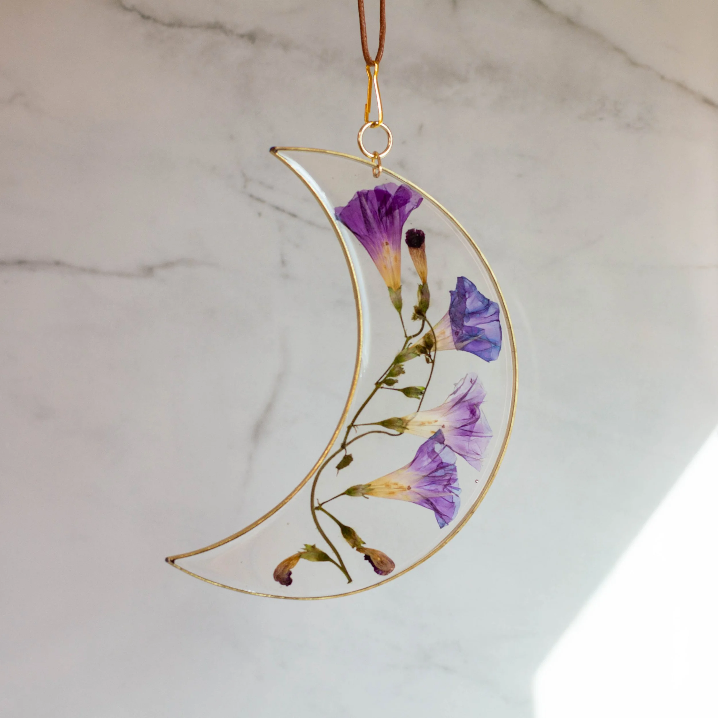 7" moon morning glory-2.jpg