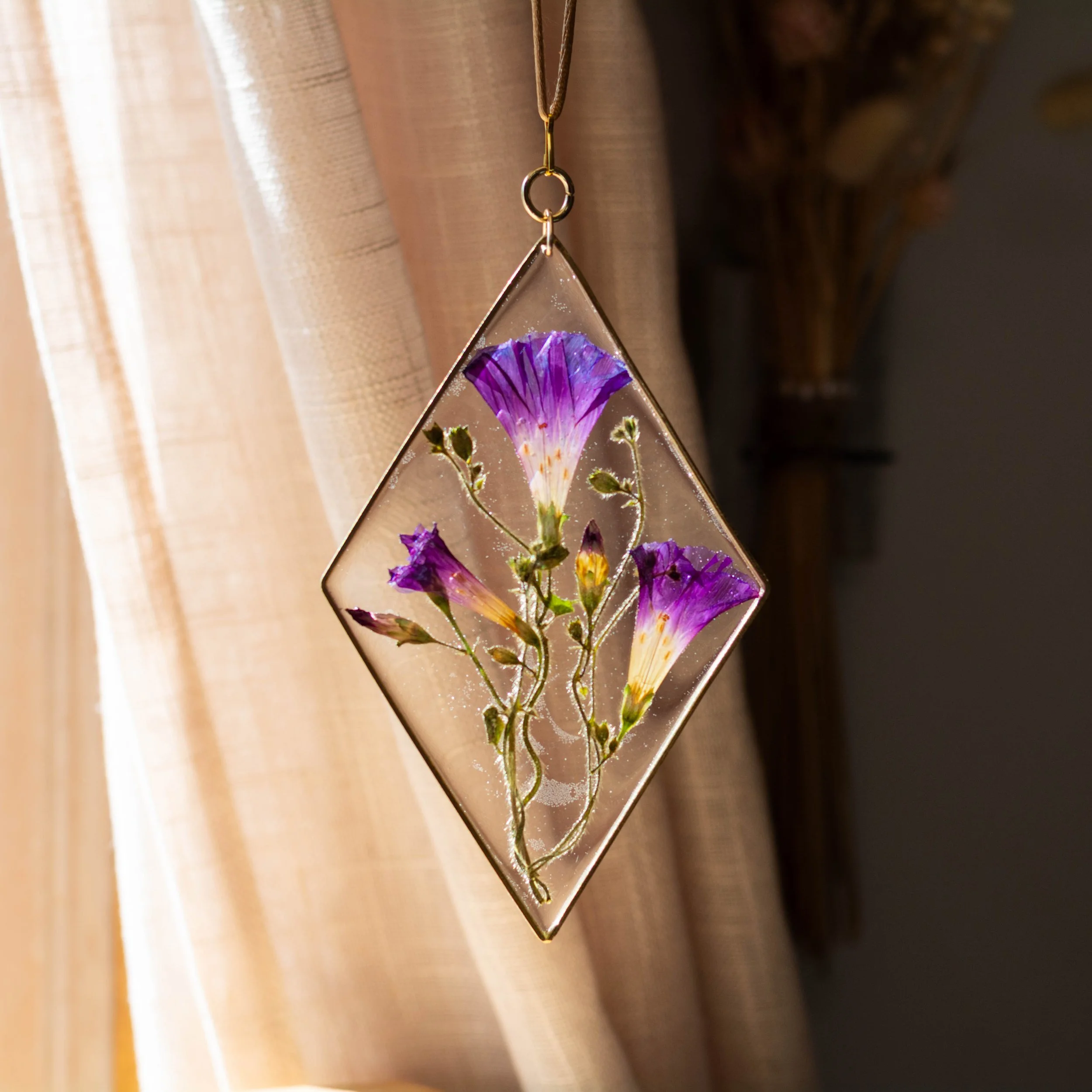 diamond morning glory-1.jpg