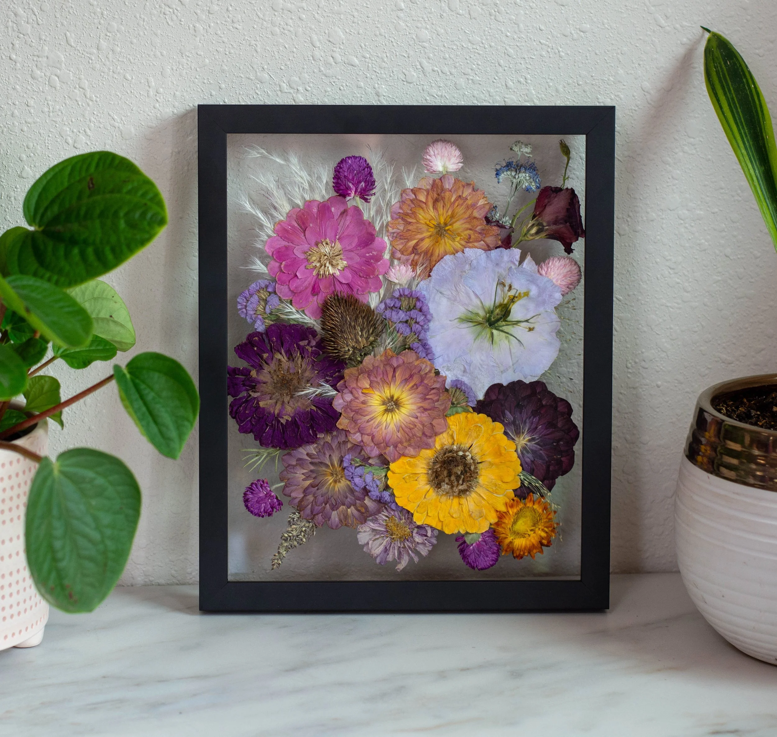 8x10, black