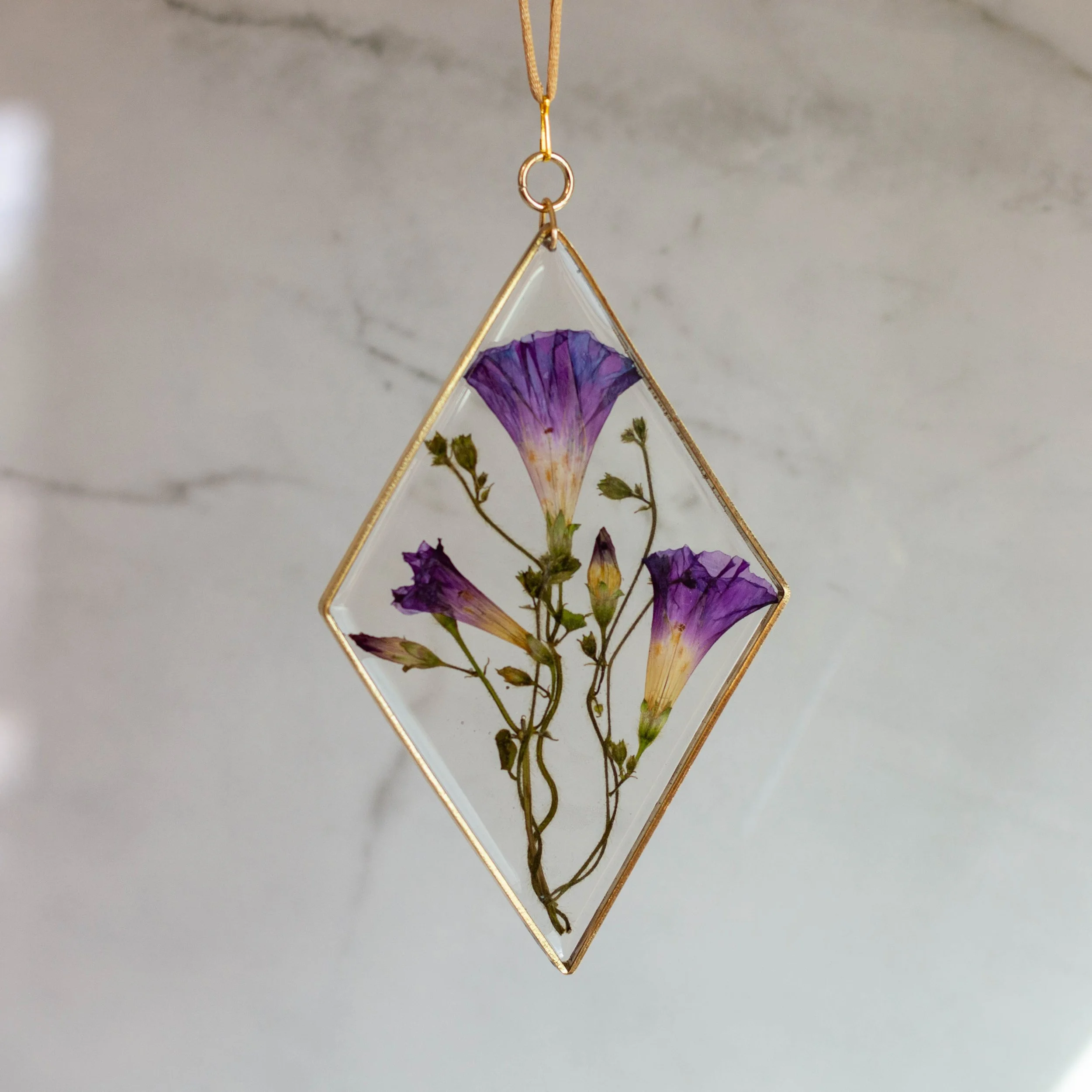 diamond morning glory-2.jpg