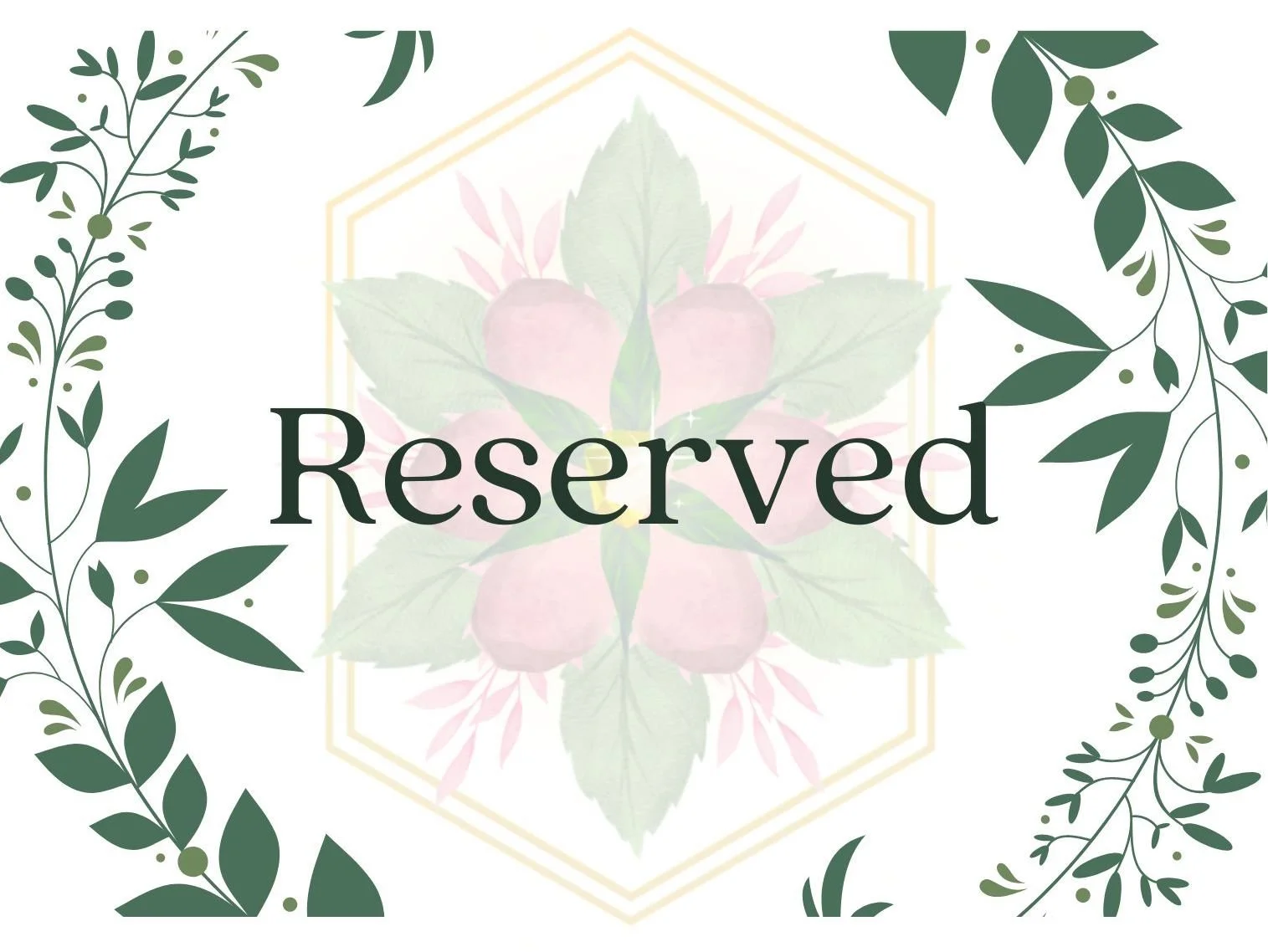 Reserved for Lyn (Box 2)