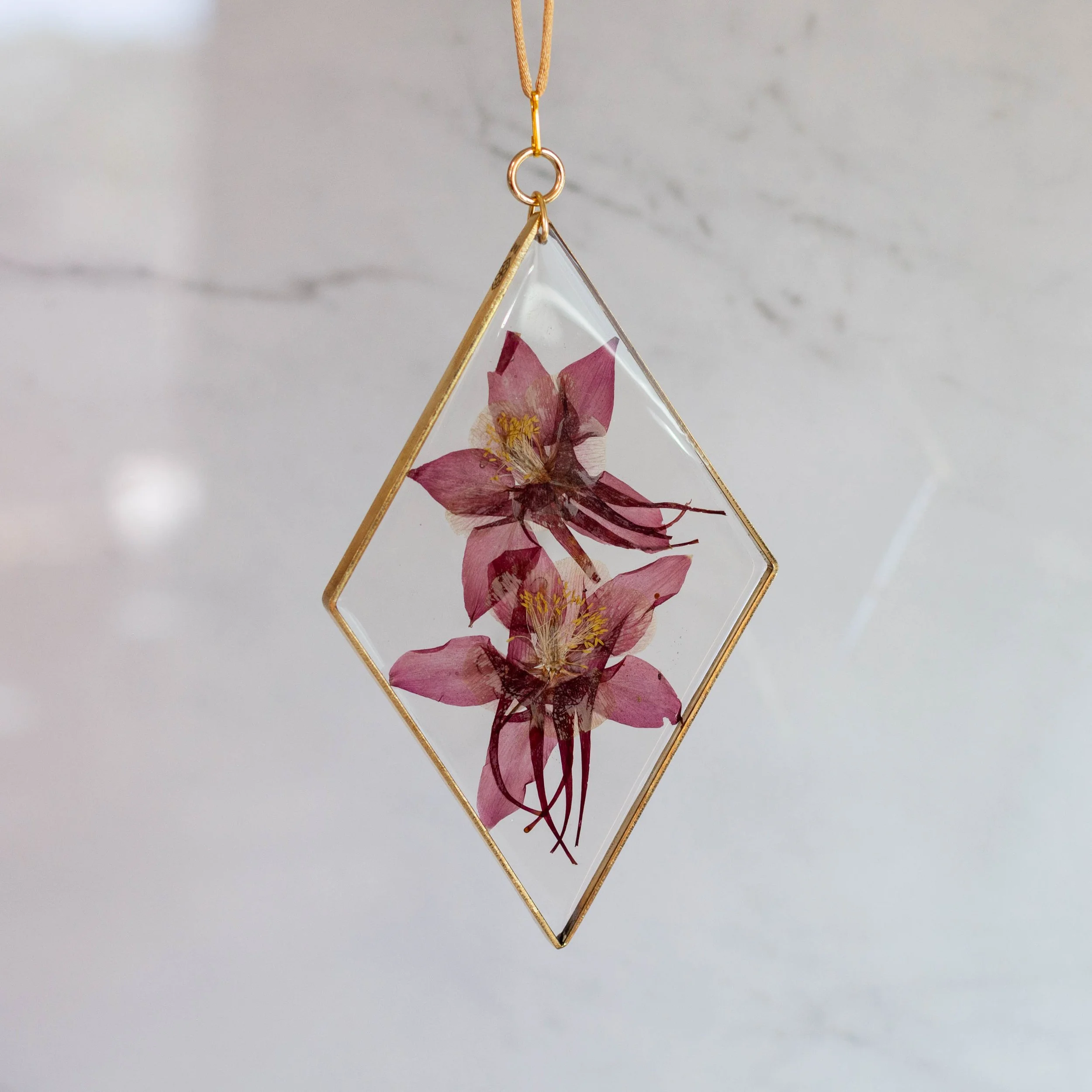 diamond columbine-2.jpg