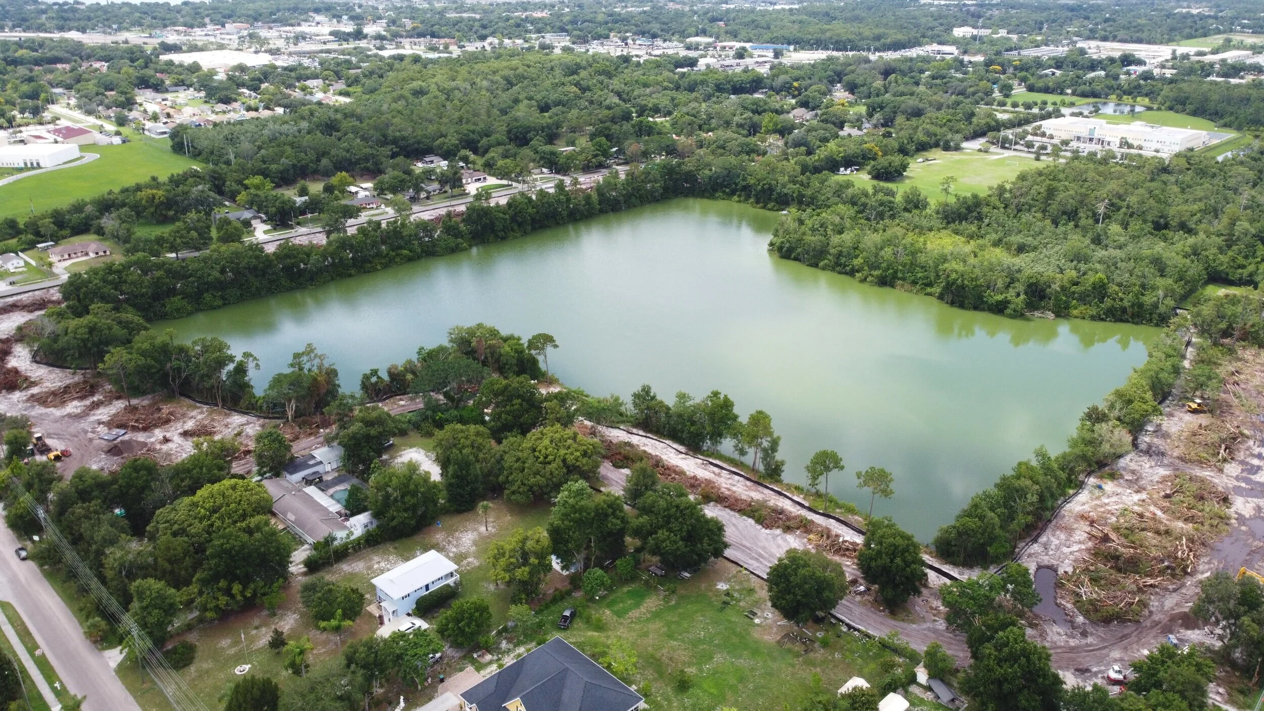 The Hidden Gem Blue Diamond — Metropolis Homes Co