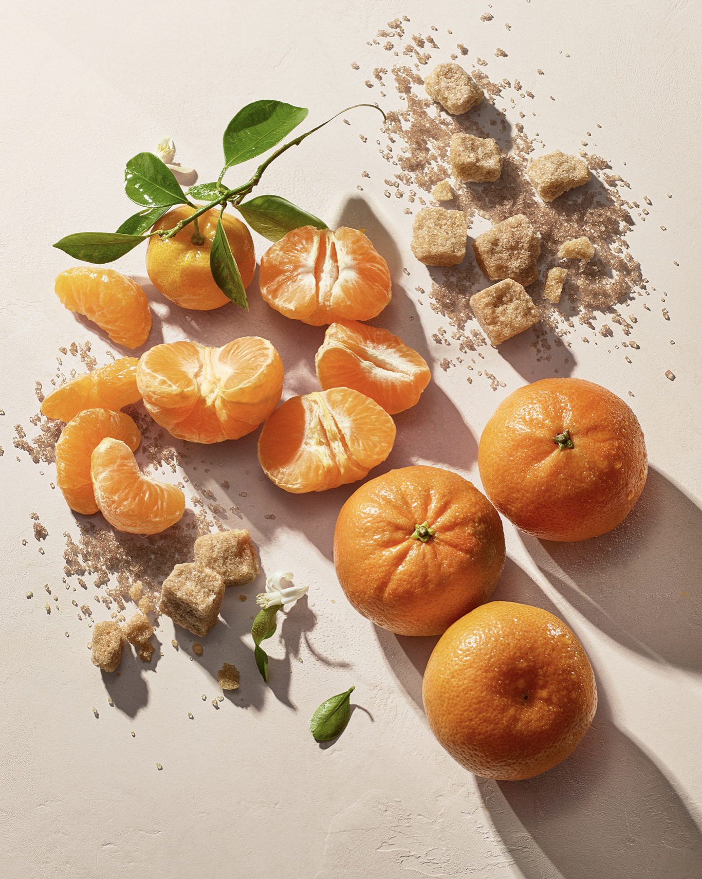 Screenshot 2026-03-02 at 3.20.50 PM.png