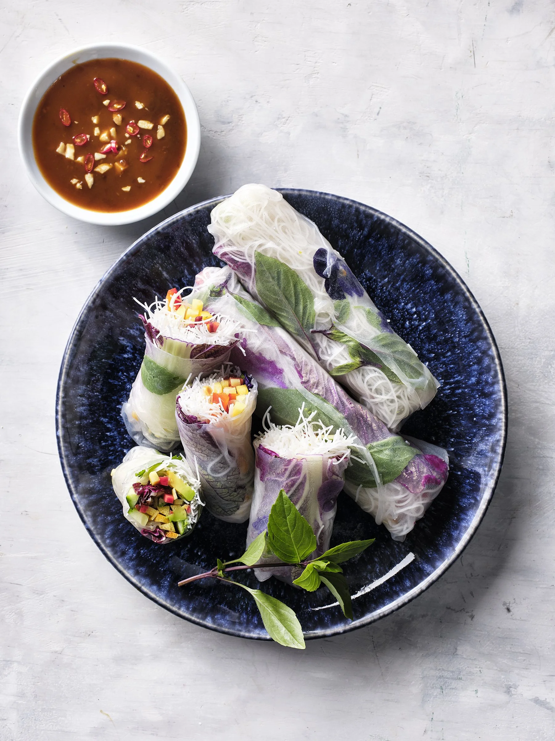 VFGG_DELONGHI_SHUN_B26_SV_VEGETABLE_ROLLS_3622.jpg