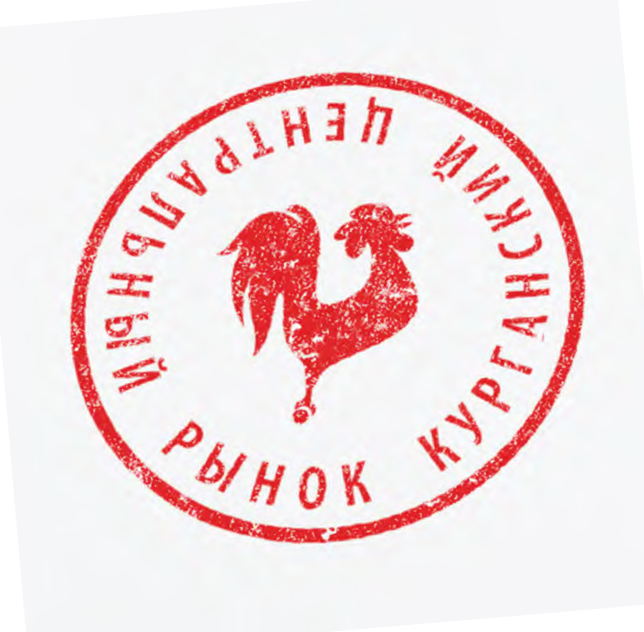 Logo_02_Punok_Images_Page_1_Page_1_Page_2.png