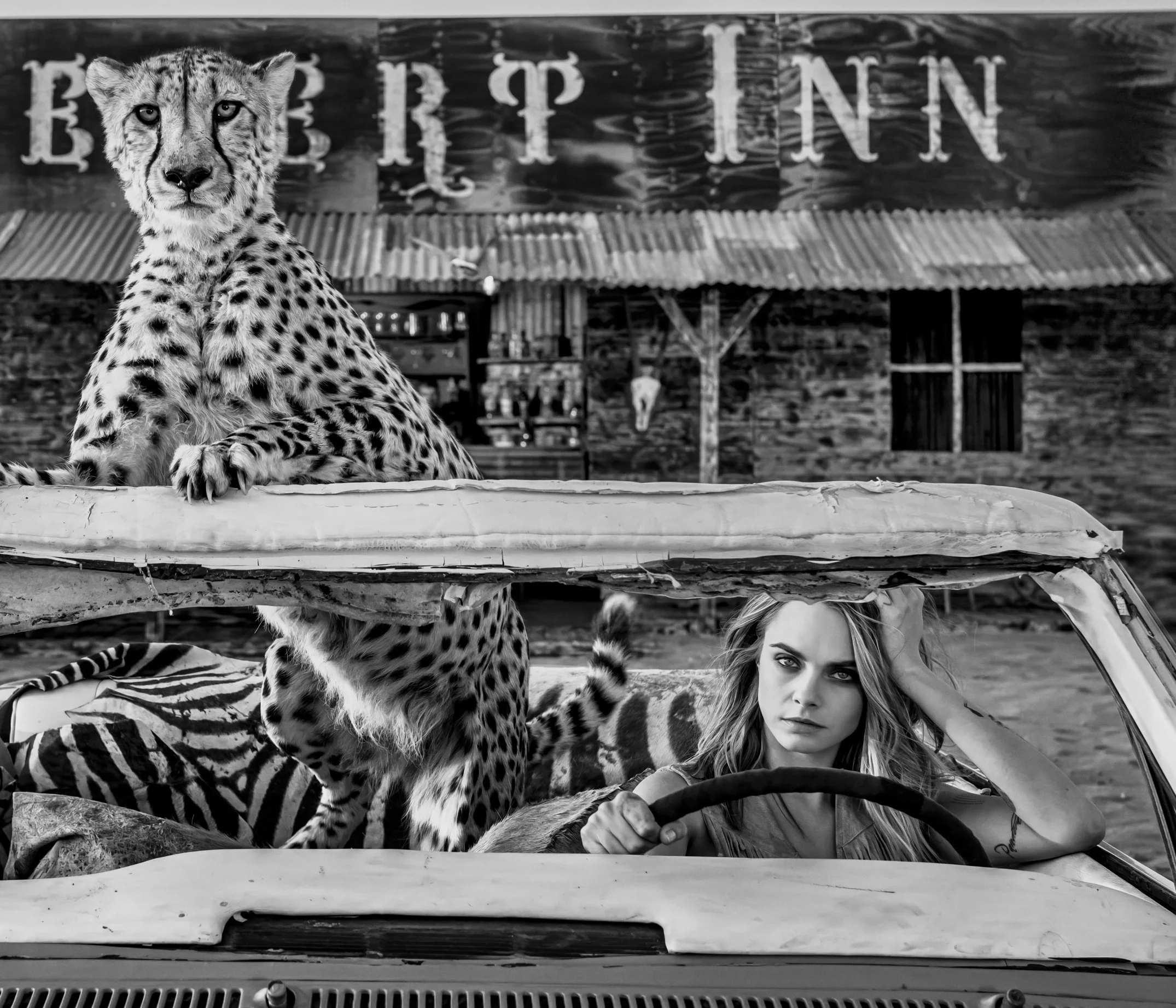 David Yarrow